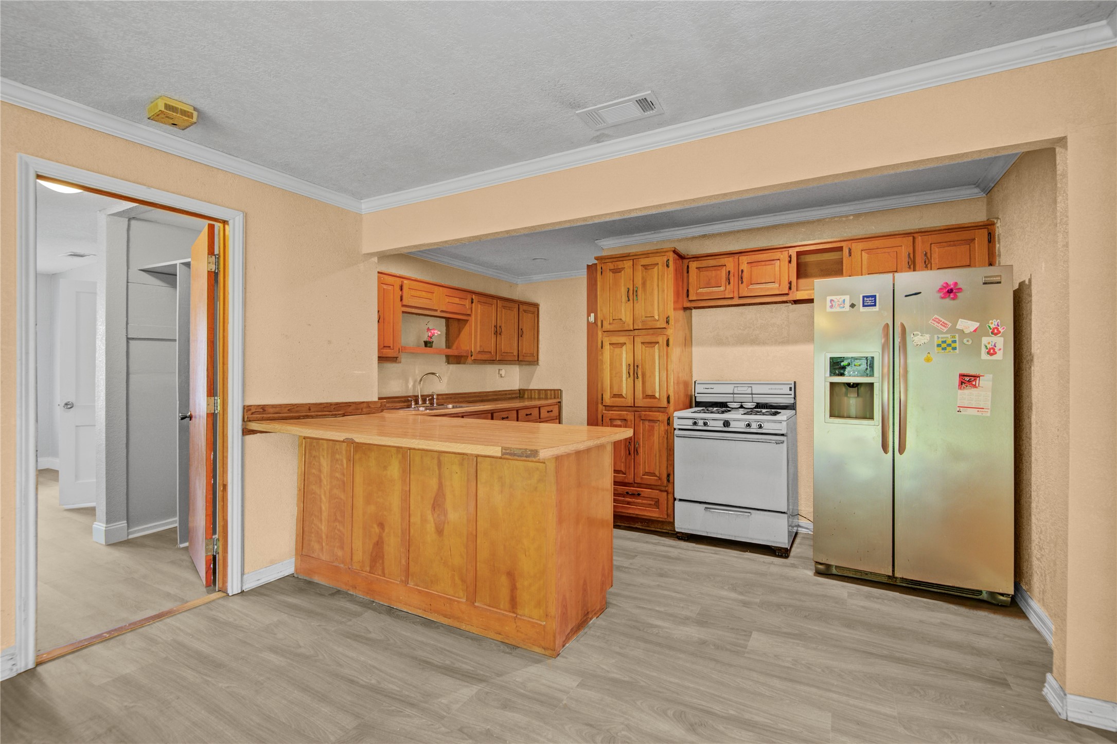117 Camellia Street Property Photo 8