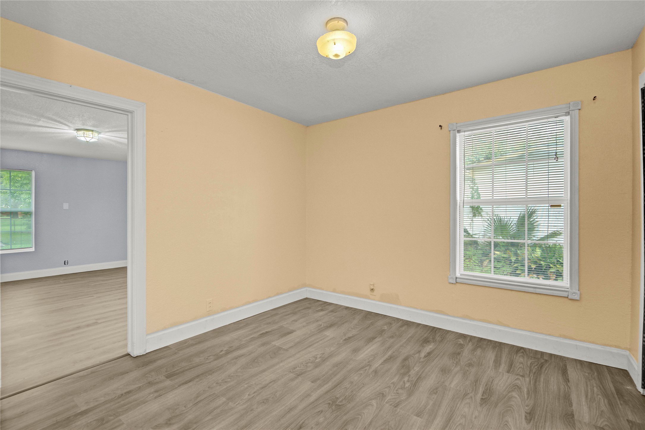 117 Camellia Street Property Photo 26