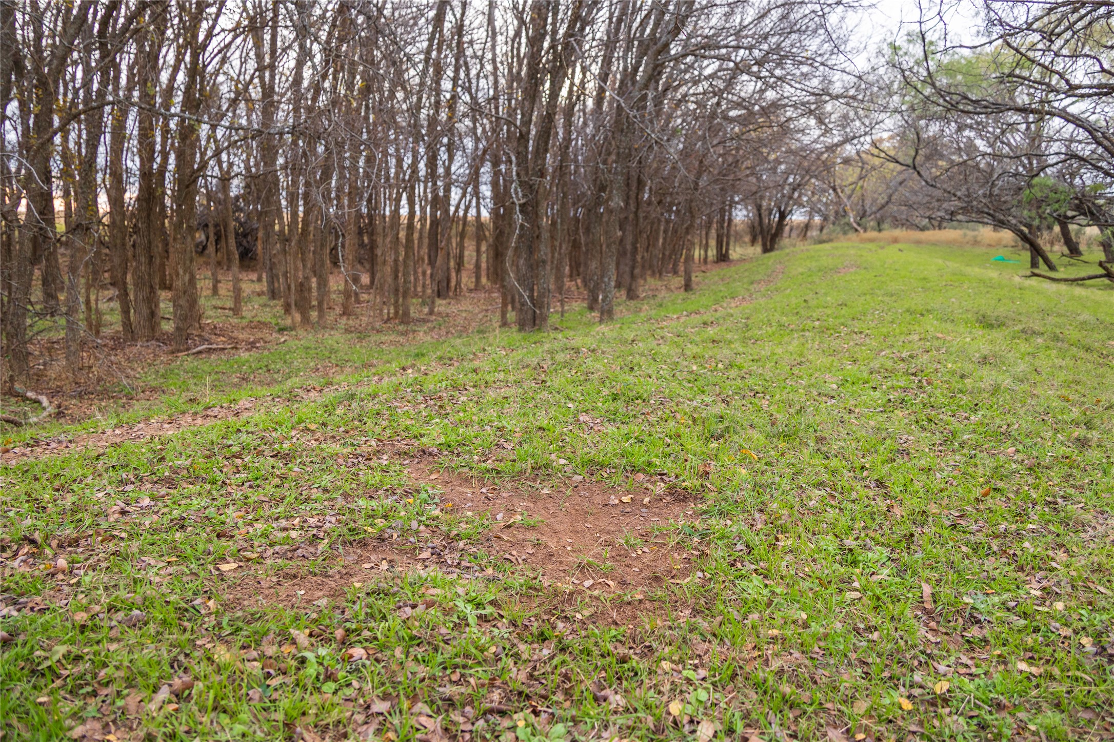 355 County Road 144 Property Photo 20