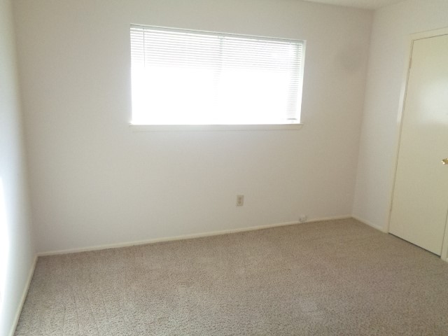 19806 Rustlewood Drive Property Photo 11