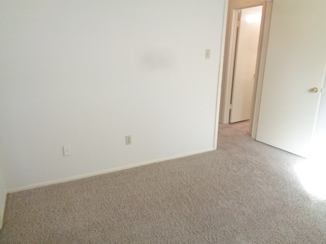 19806 Rustlewood Drive Property Photo 12