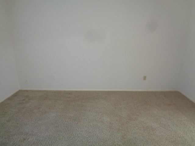 19806 Rustlewood Drive Property Photo 17
