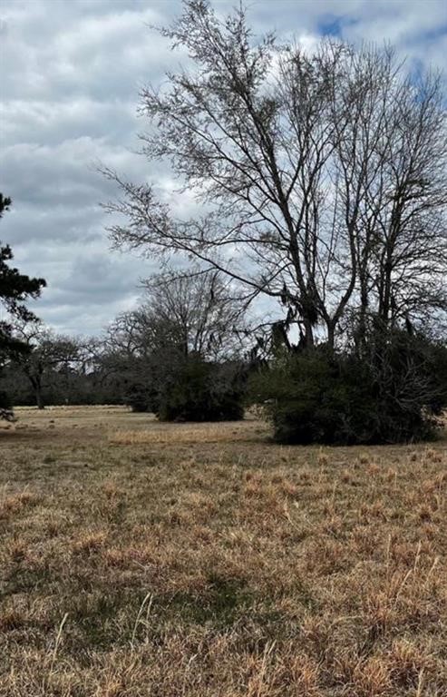 313 Dawns Edge Property Photo 1