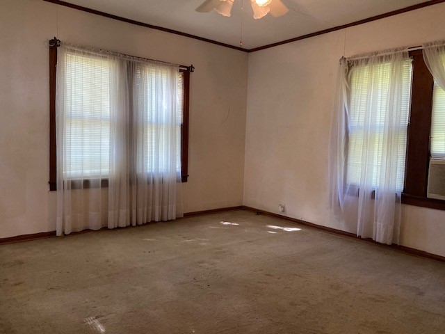 503 Main Street Property Photo 10