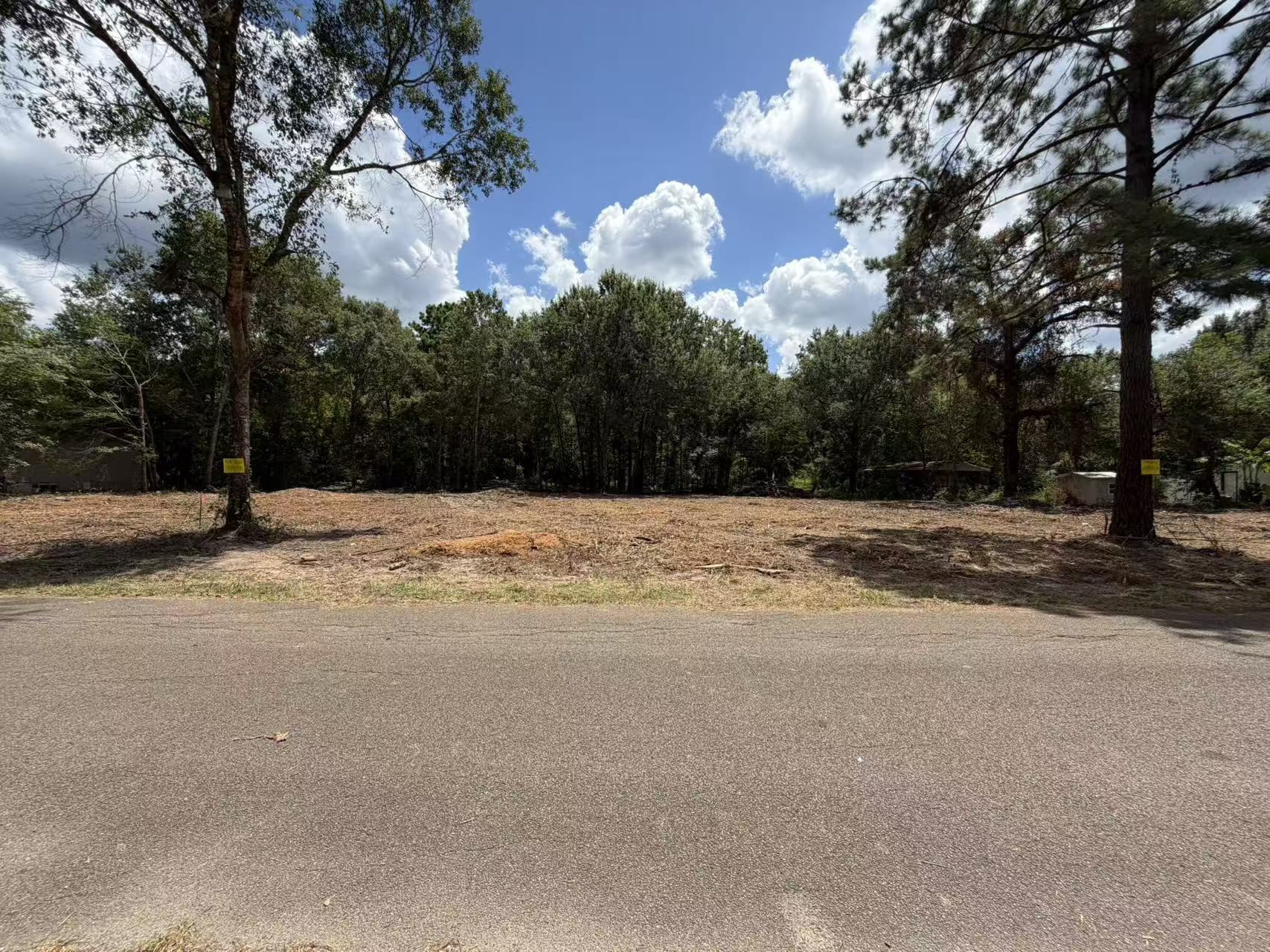 24820 Marks Road Property Photo 1