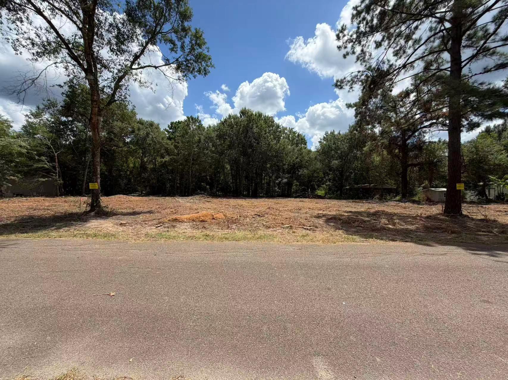 24820 Marks Road, Splendora TX 77372 Property Photo 1