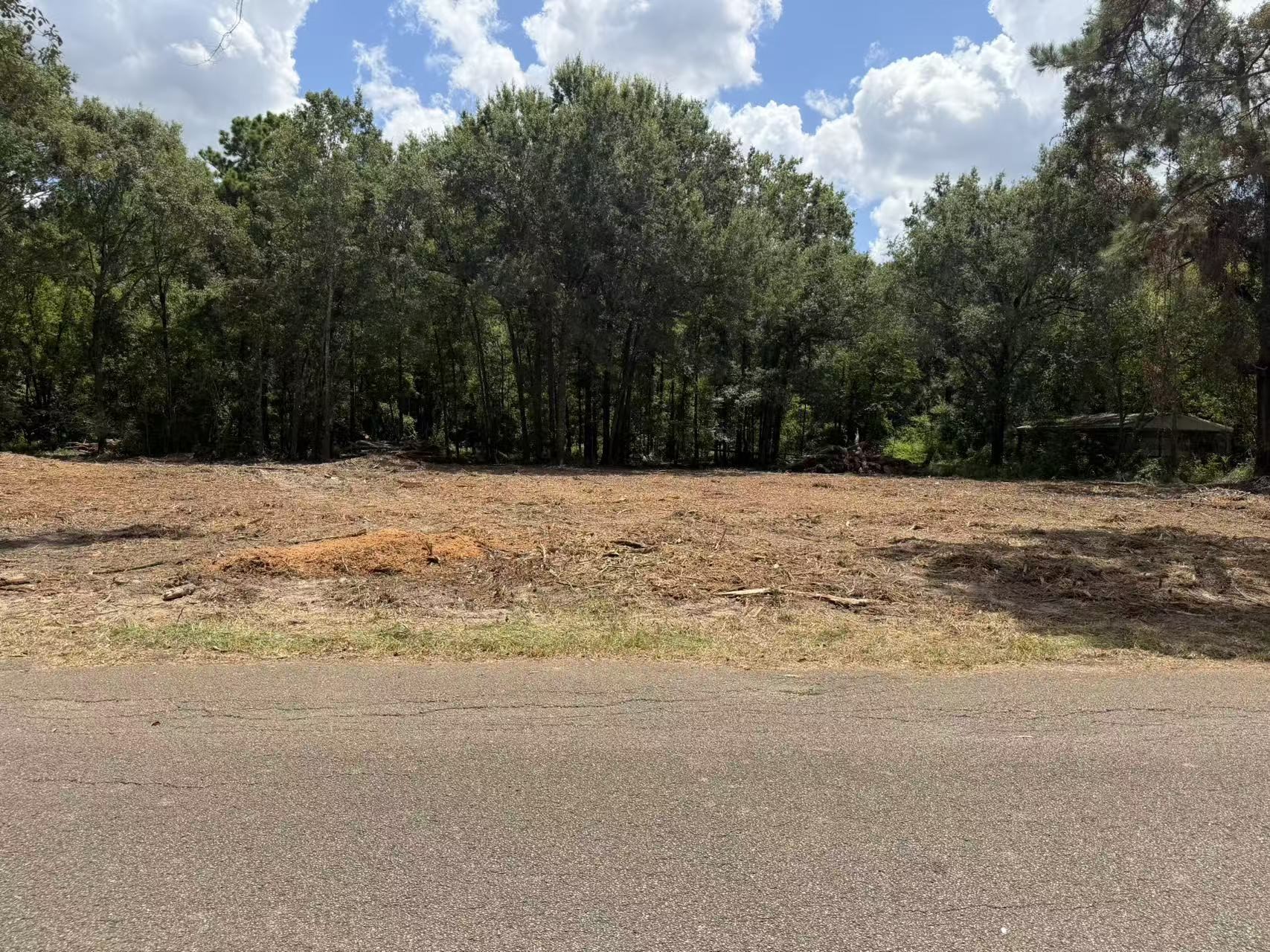 24820 Marks Road Property Photo 2