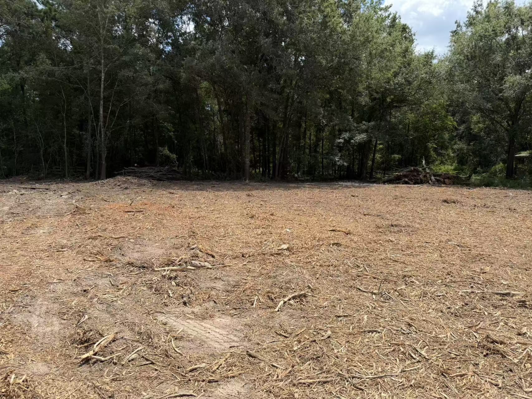 24820 Marks Road Property Photo 3
