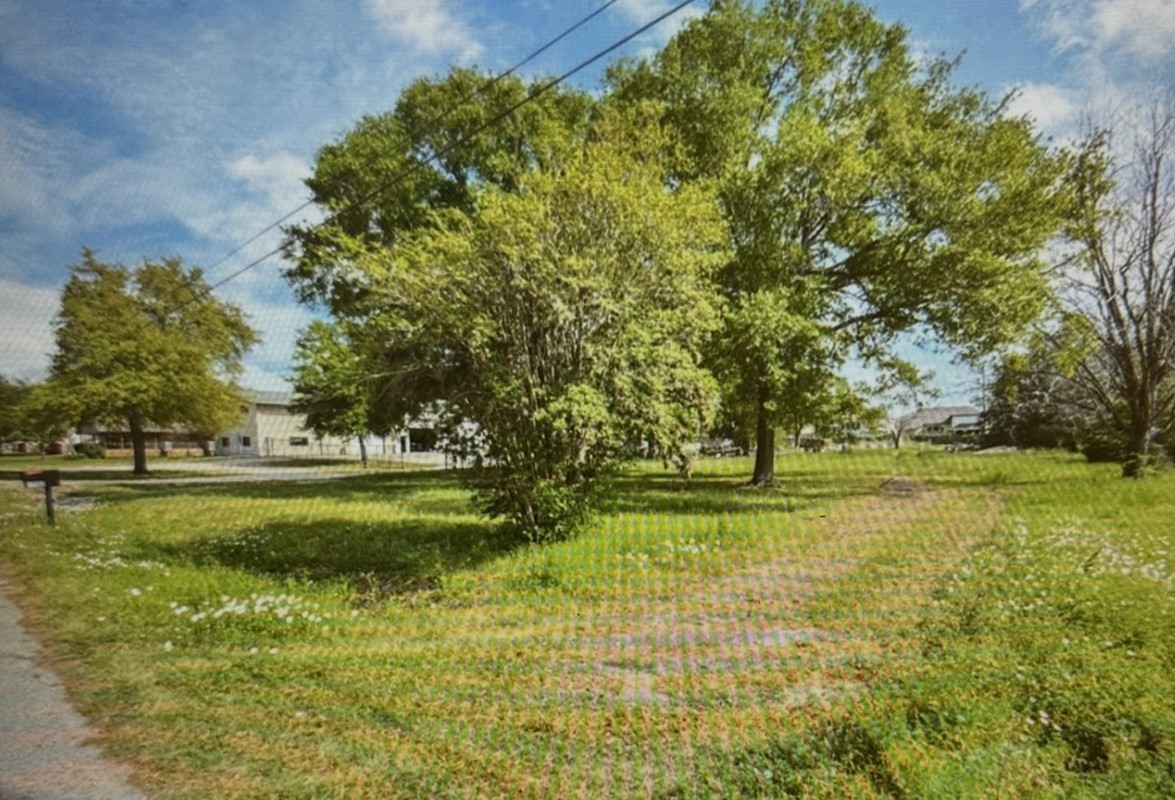 17703 South Drive Property Photo 3