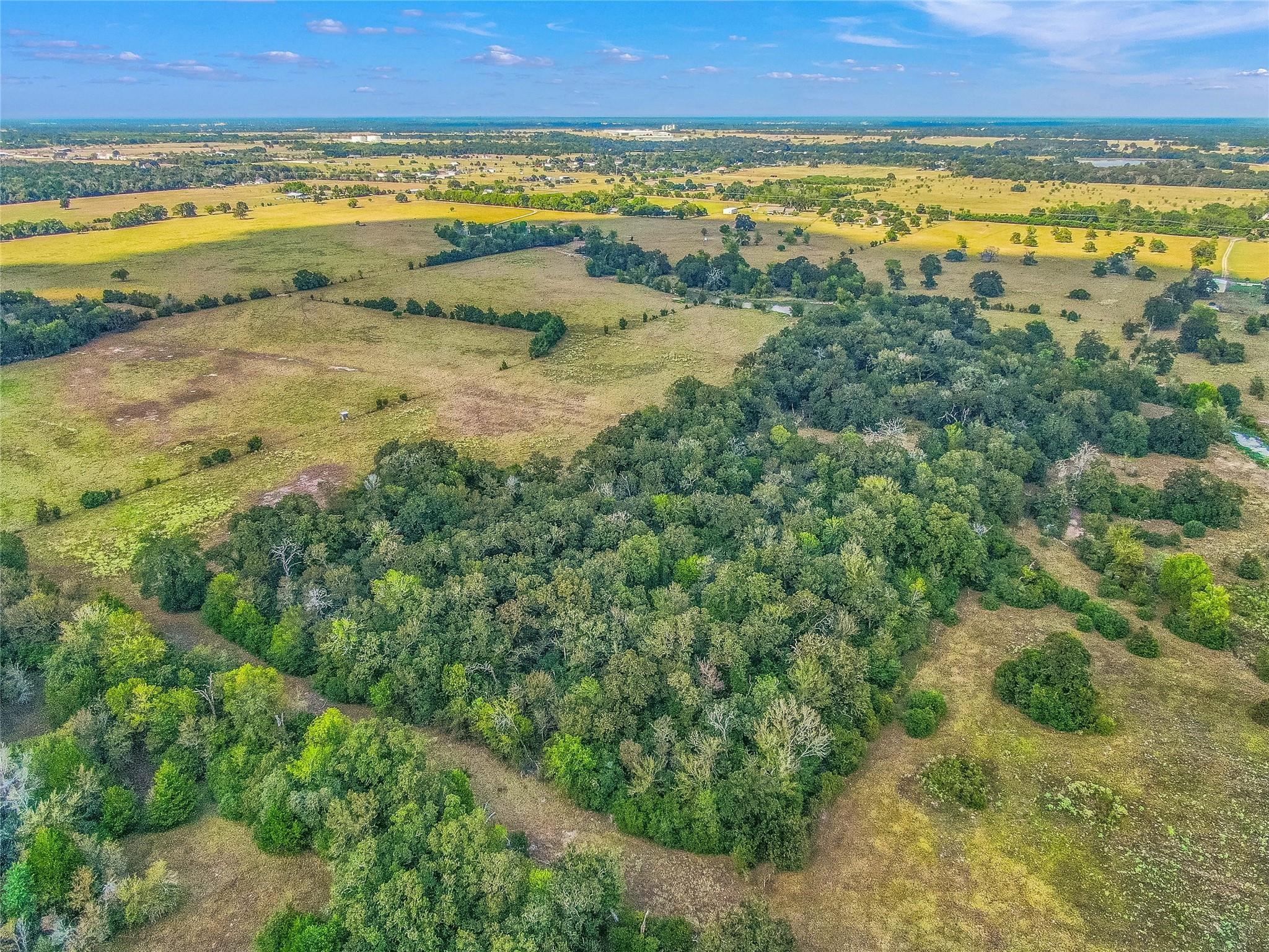 Tbd S Fm 2038 Property Photo 6