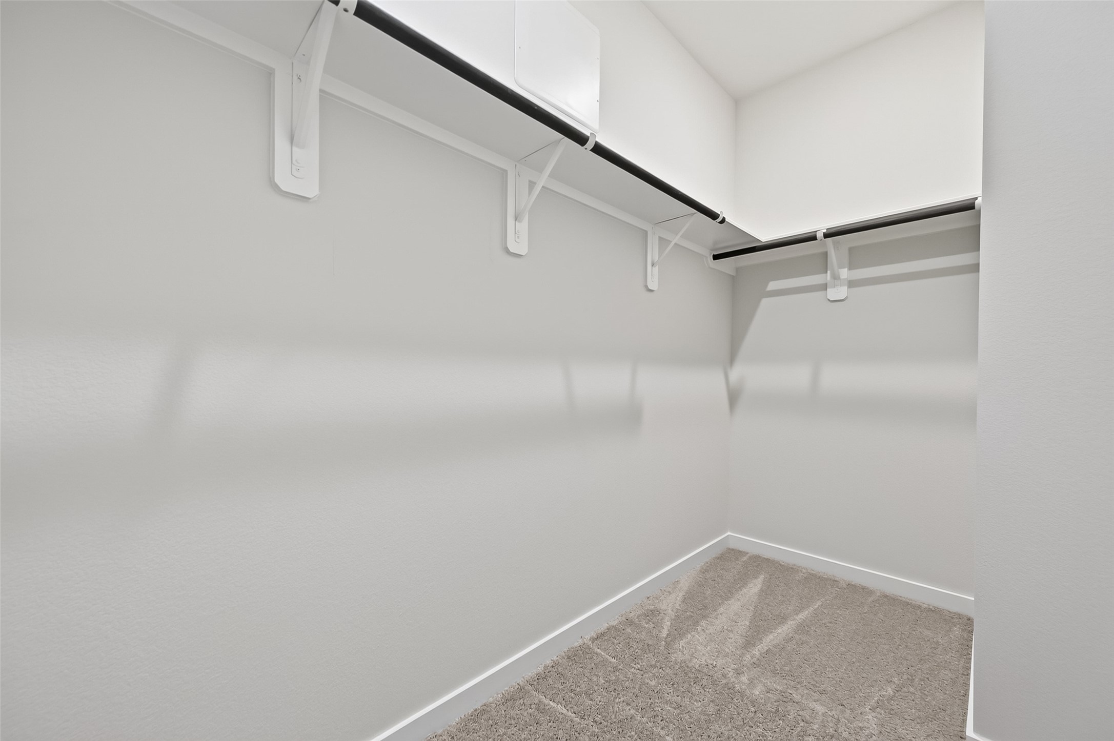 26134 Venus Trap Trail Property Photo 37