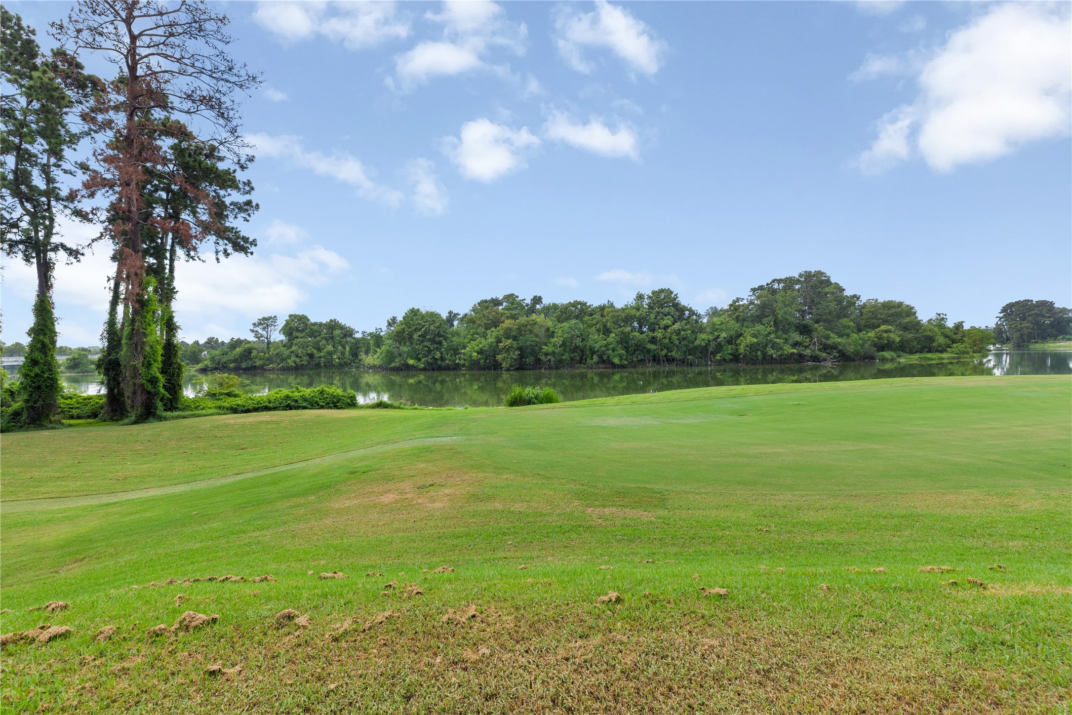 11 Greens Edge Drive Property Photo 40