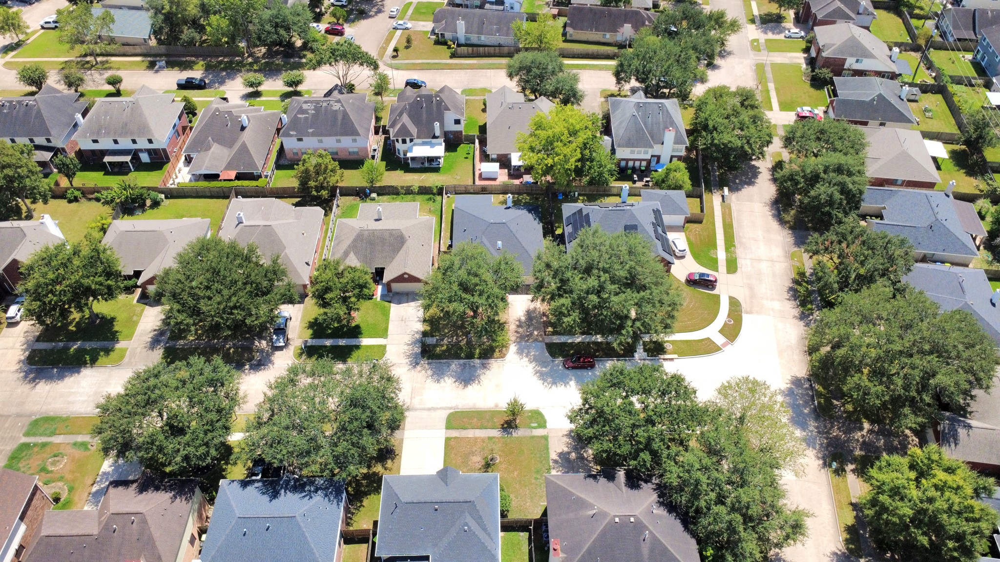 4239 Custer Creek Drive Property Photo 4