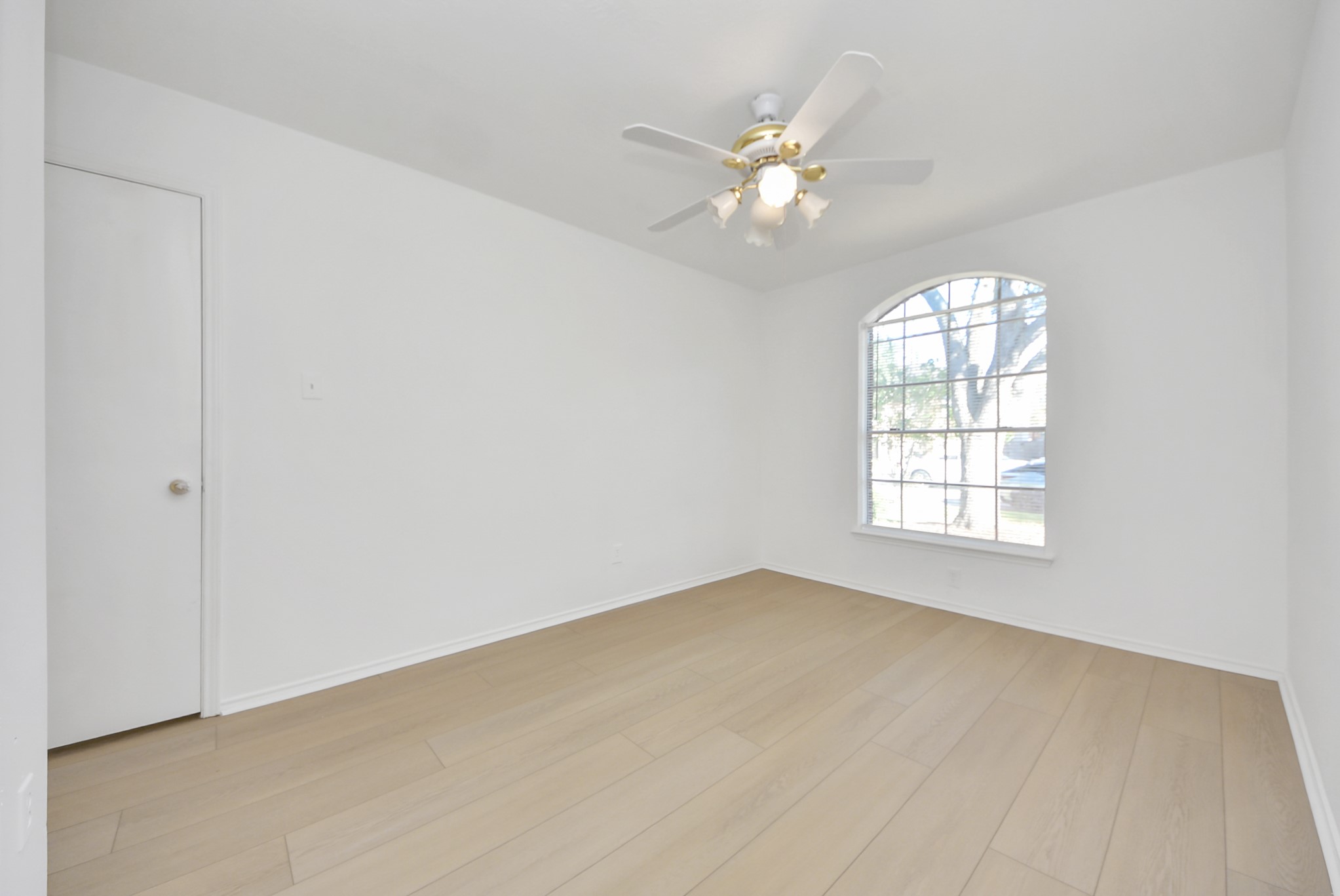 4239 Custer Creek Drive Property Photo 12
