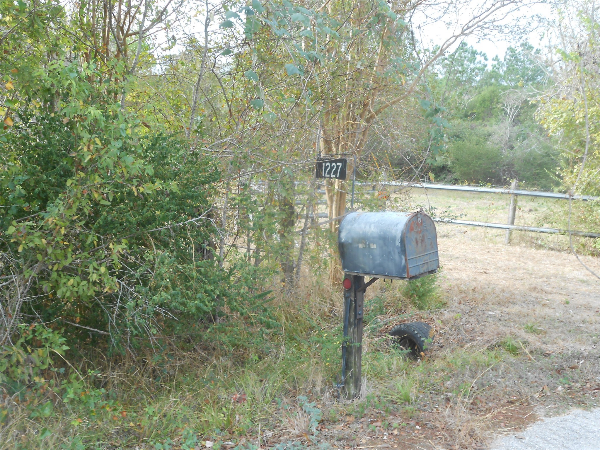 1227 County Road 324 Lights Property Photo 3
