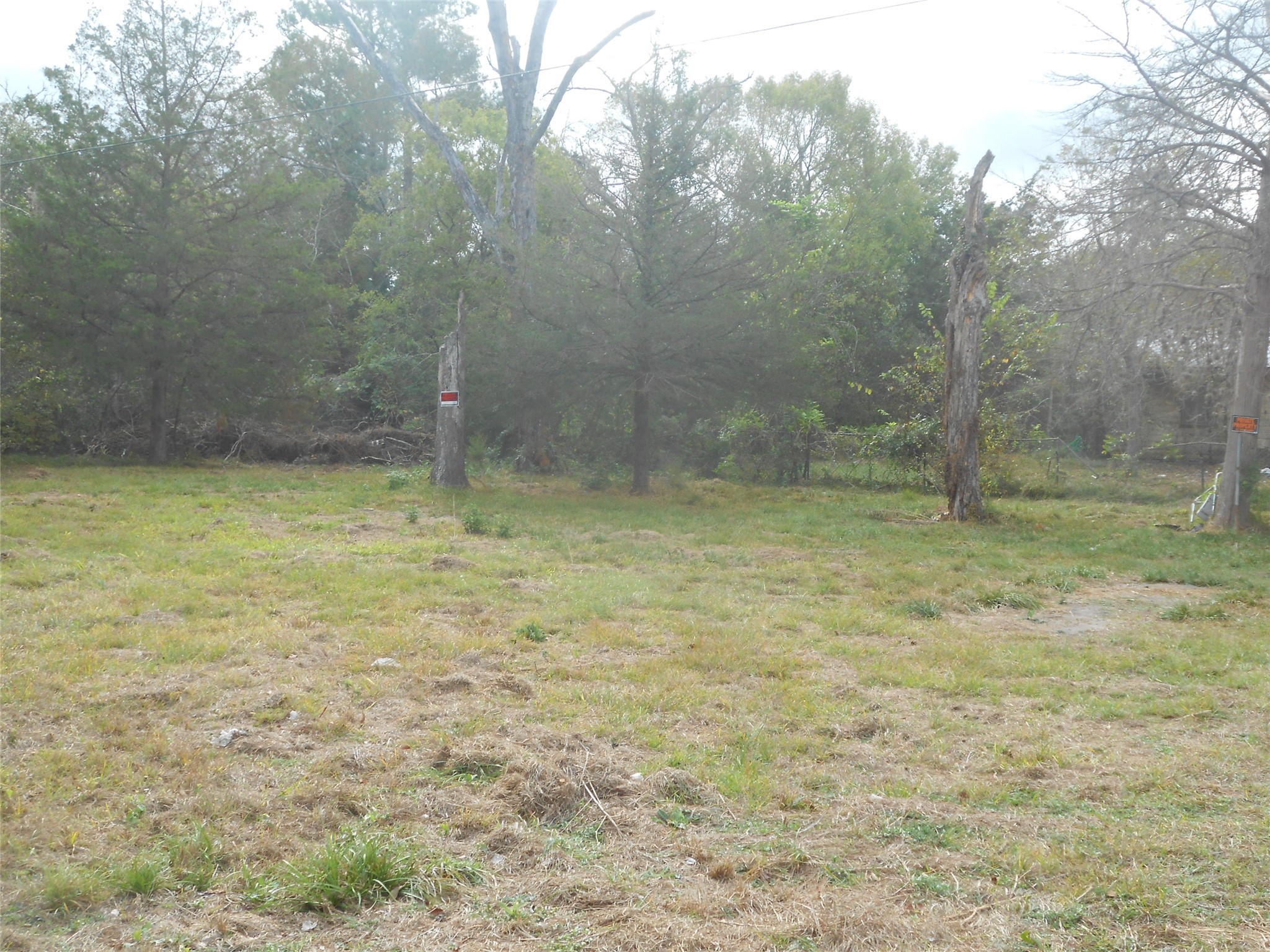 1227 County Road 324 Lights Property Photo 4
