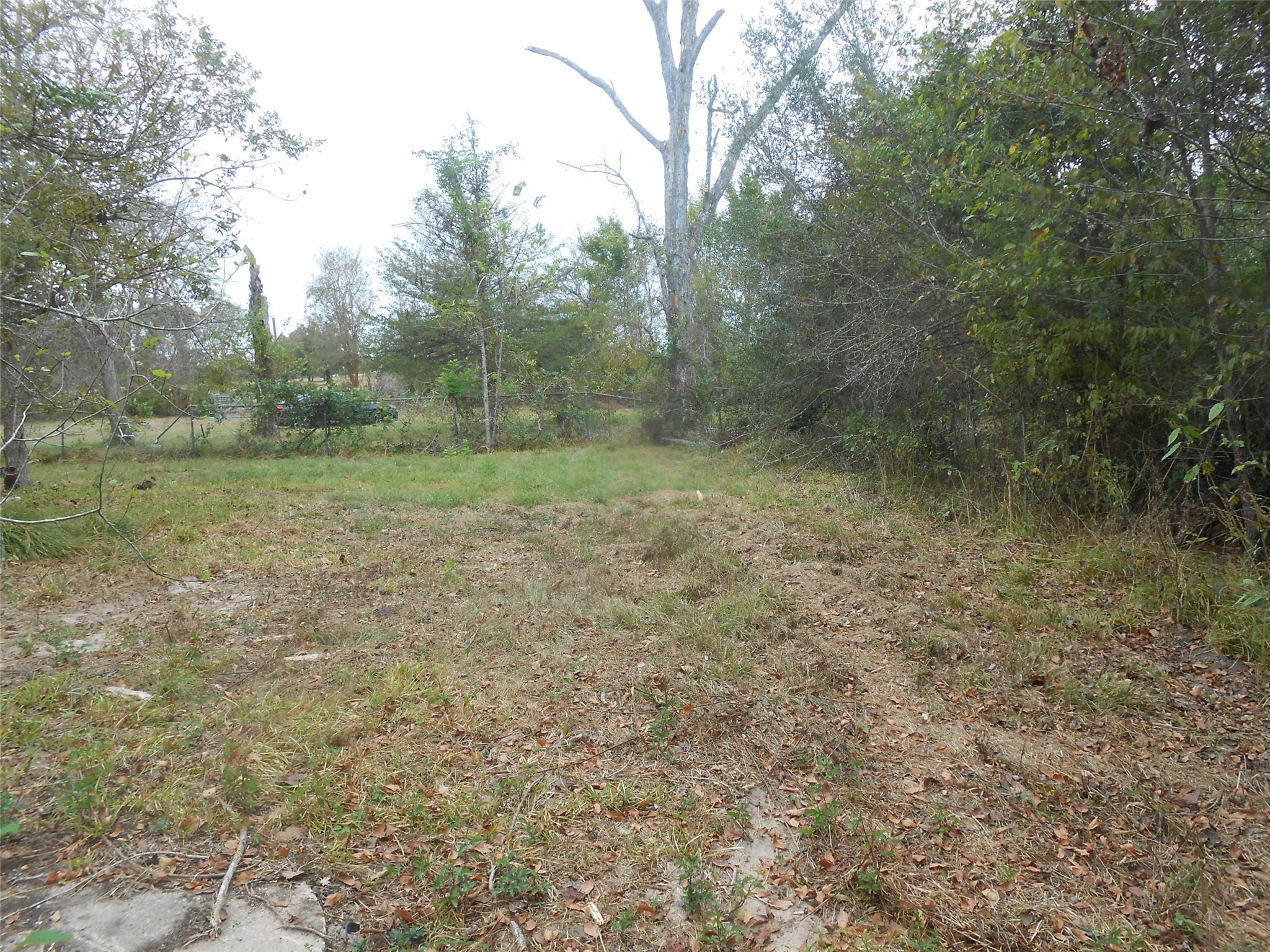 1227 County Road 324 Lights Property Photo 6