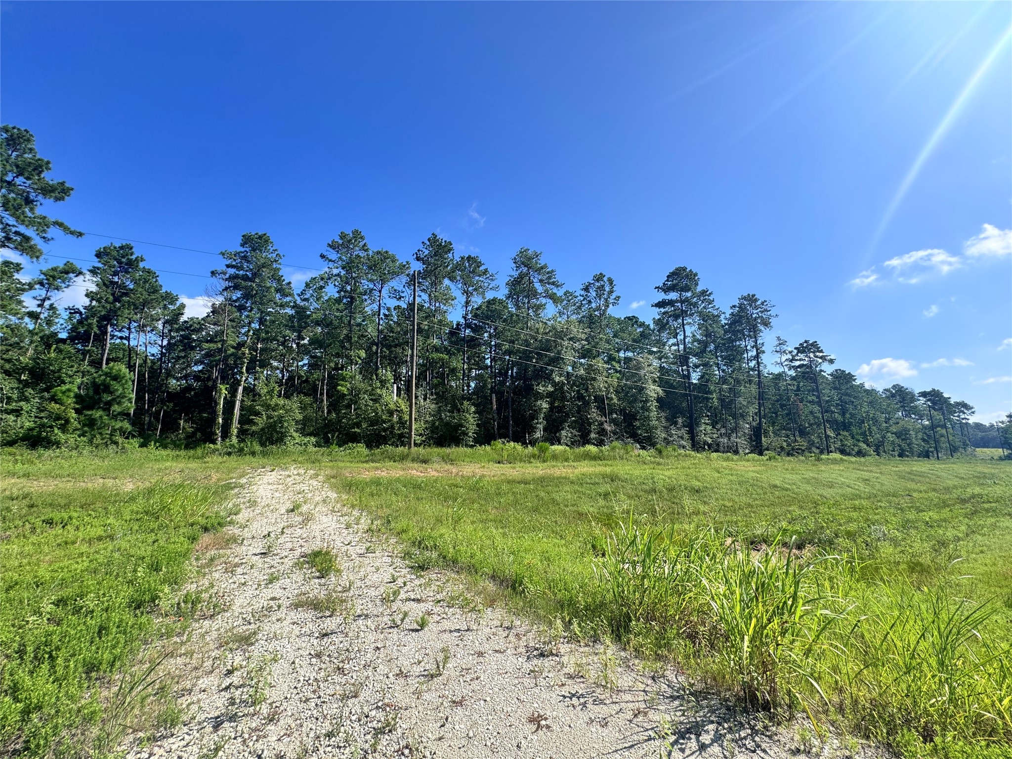 0035 Hwy 249 Property Photo 3