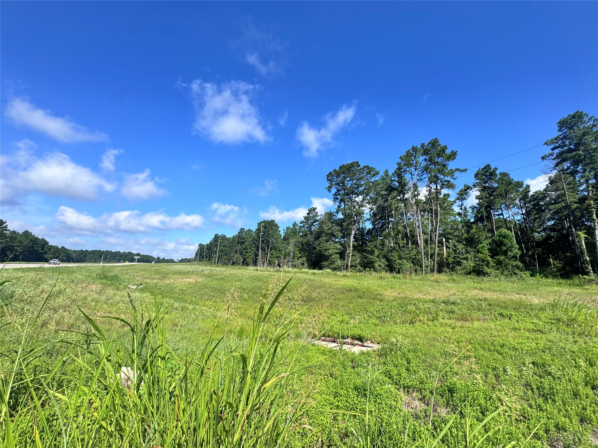 0035 Hwy 249 Property Photo 4