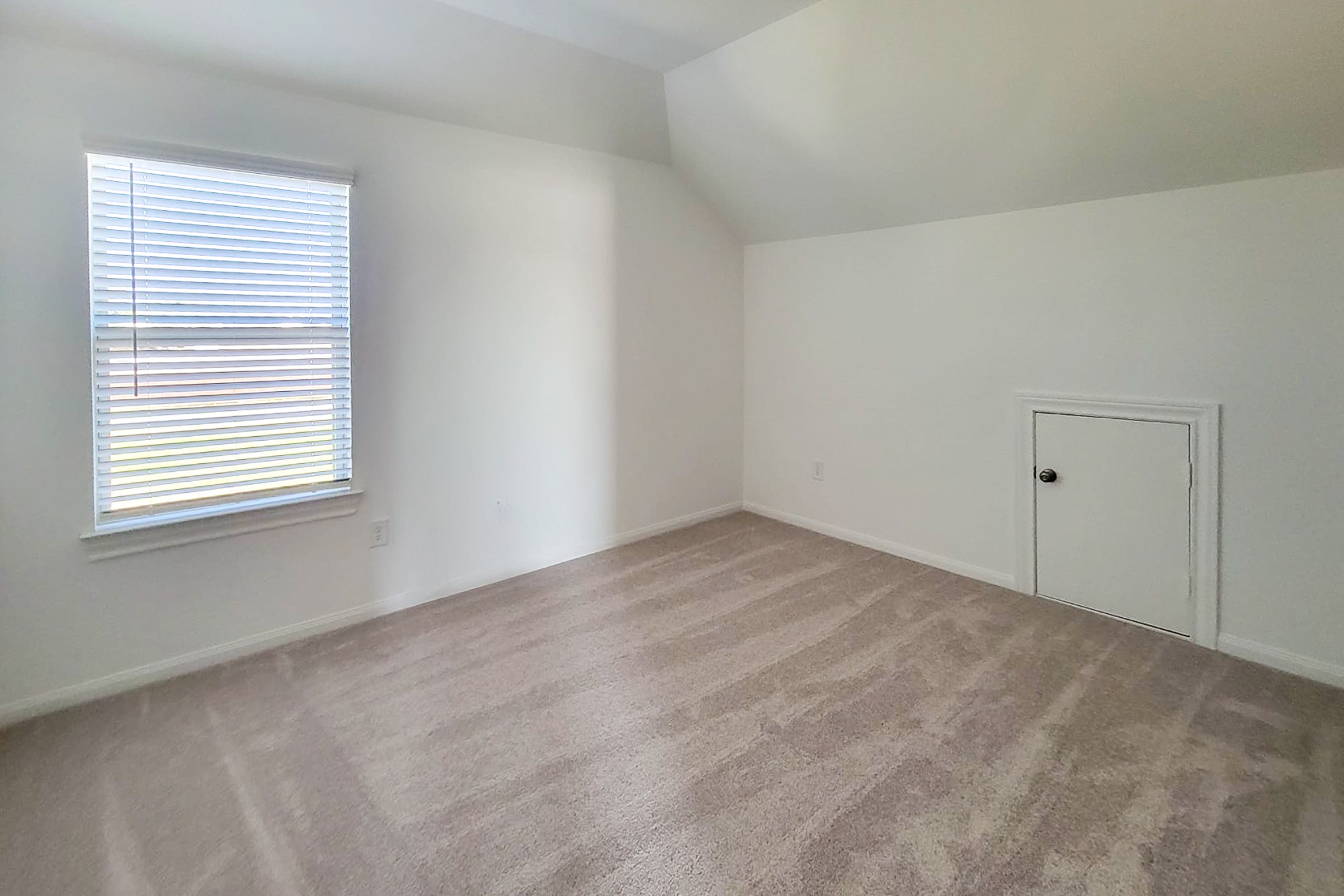 25737 Damask Drive Property Photo 10