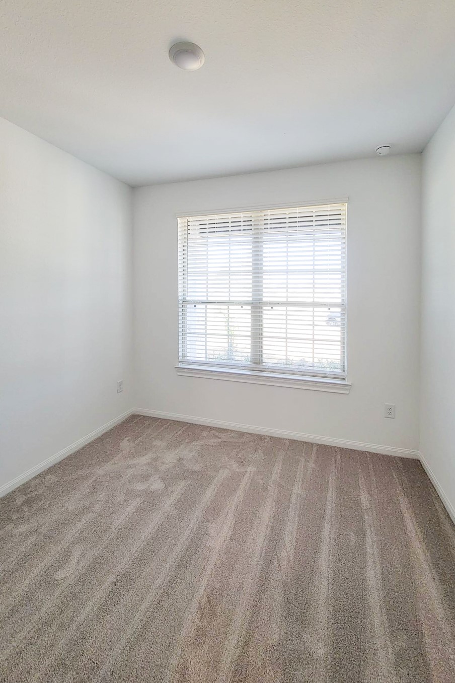 25737 Damask Drive Property Photo 23