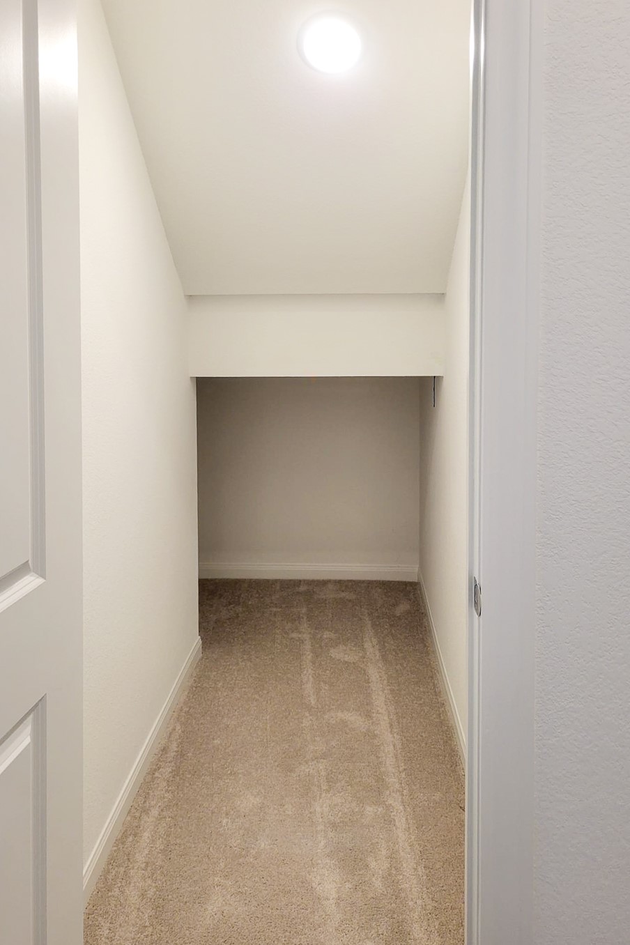 25737 Damask Drive Property Photo 24