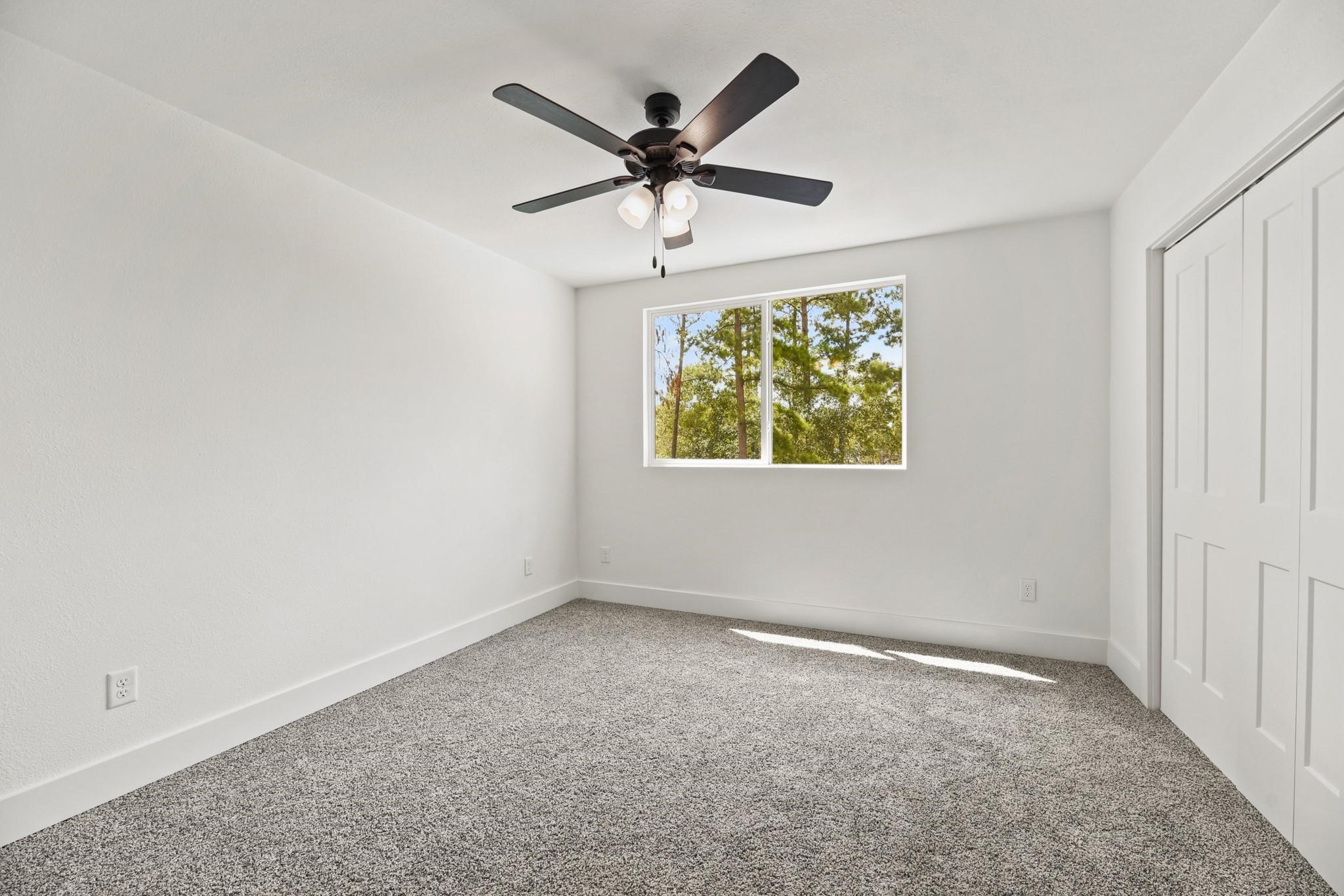 17068 Lively Road Property Photo 21