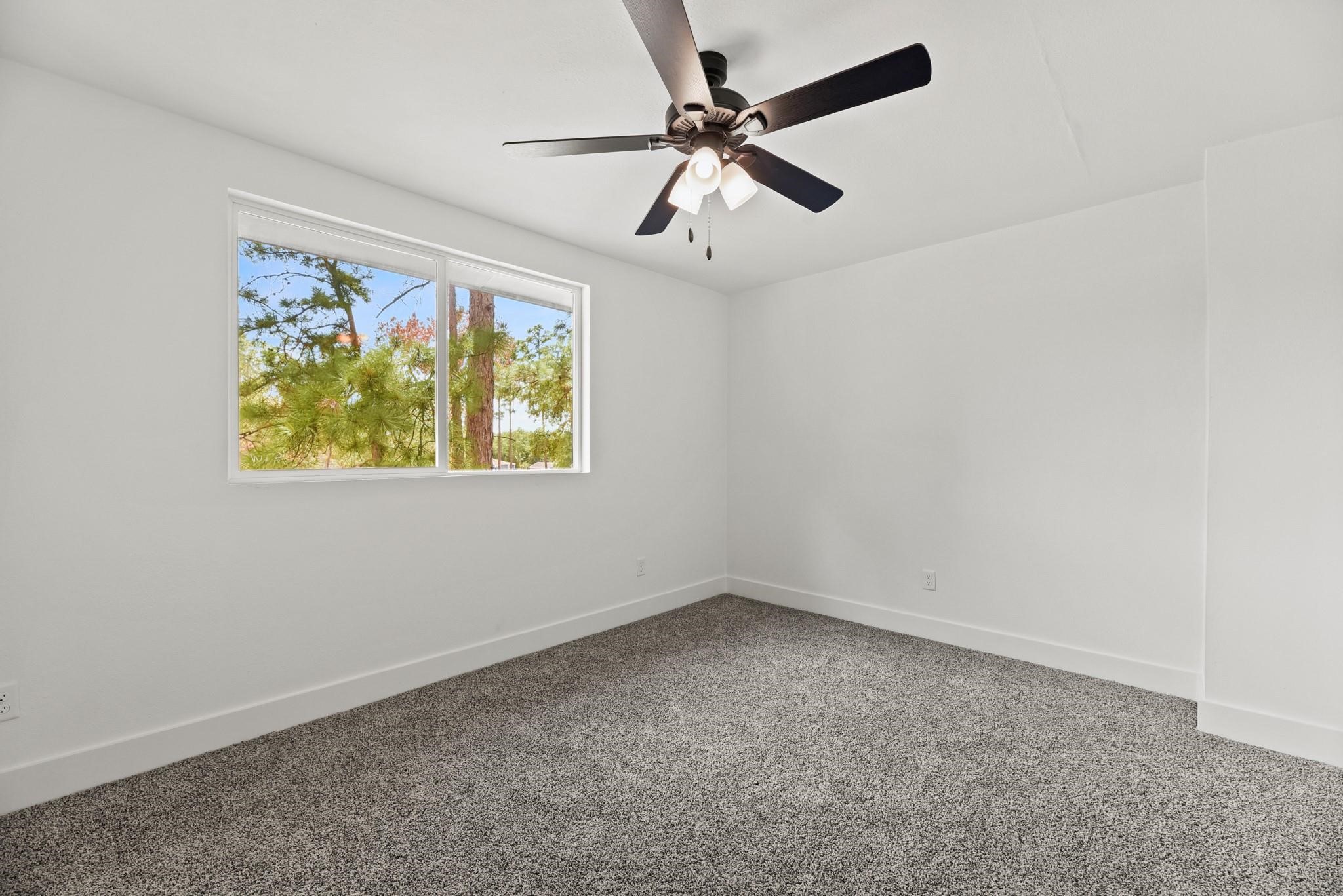 17068 Lively Road Property Photo 22