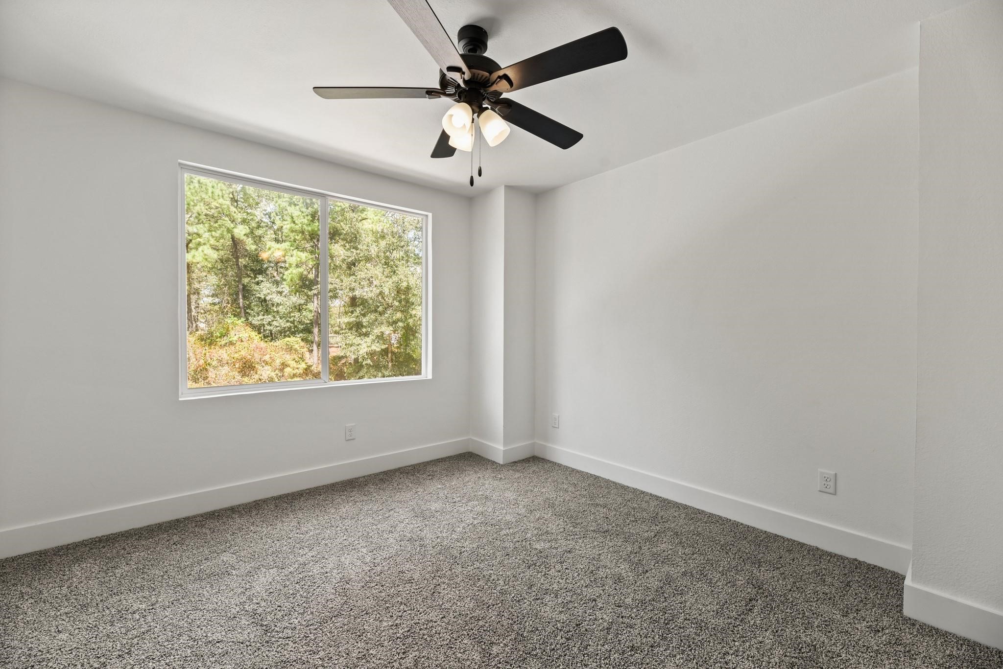 17068 Lively Road Property Photo 24