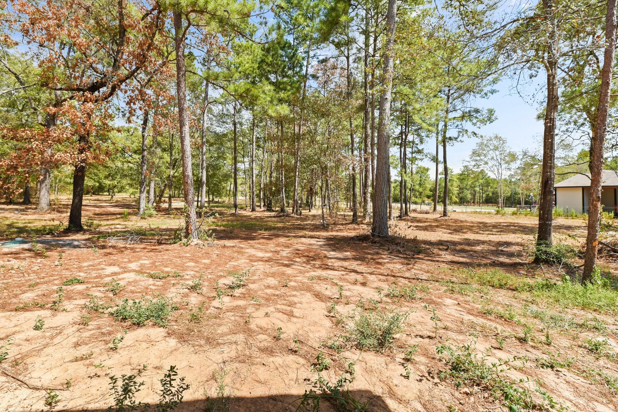 17068 Lively Road Property Photo 26