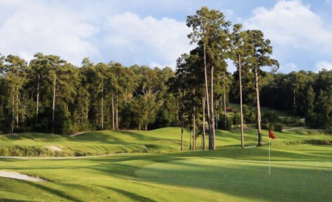 4 Meadowlark Property Photo 19