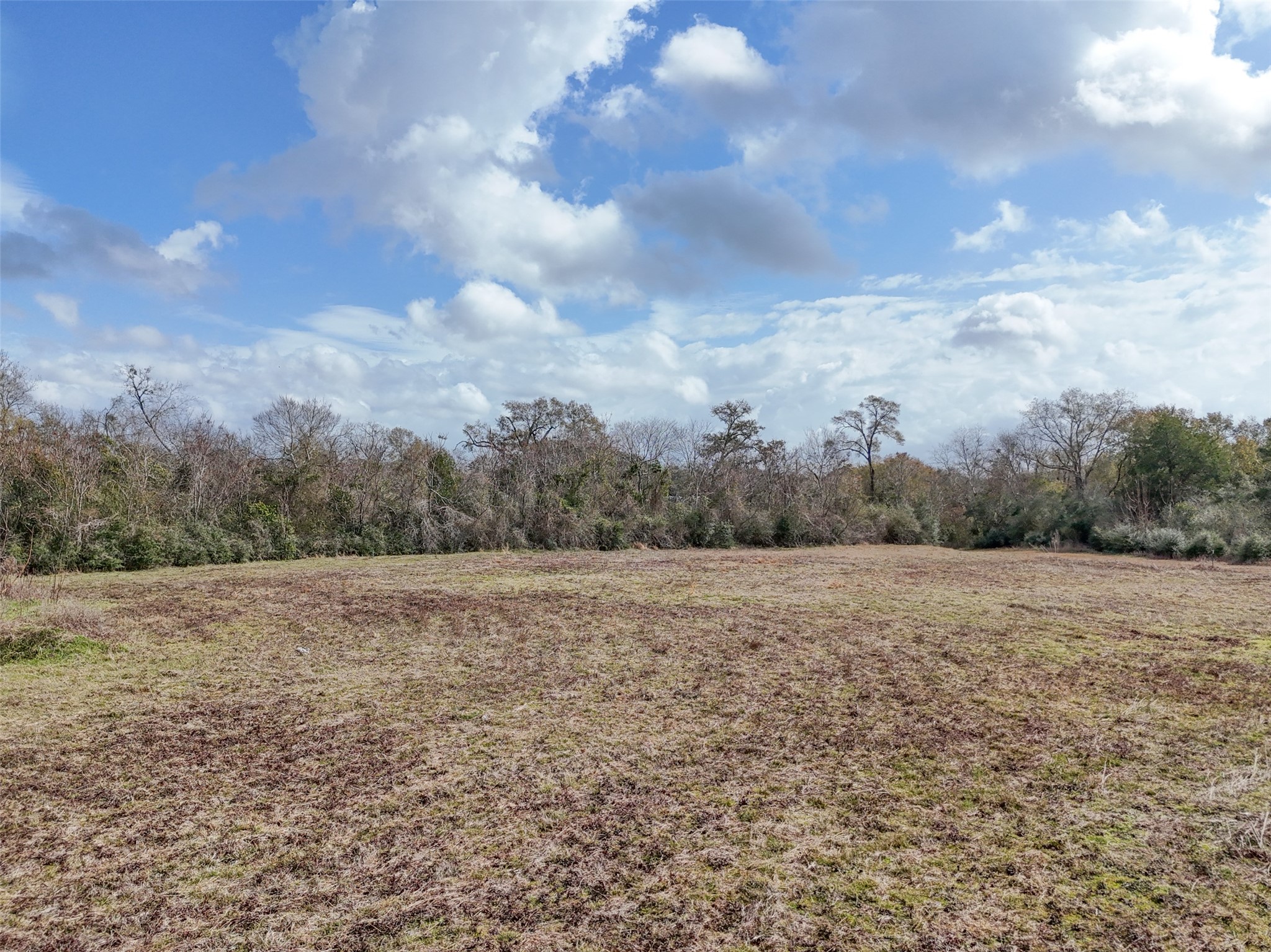 Tbd Wilkins Property Photo 17