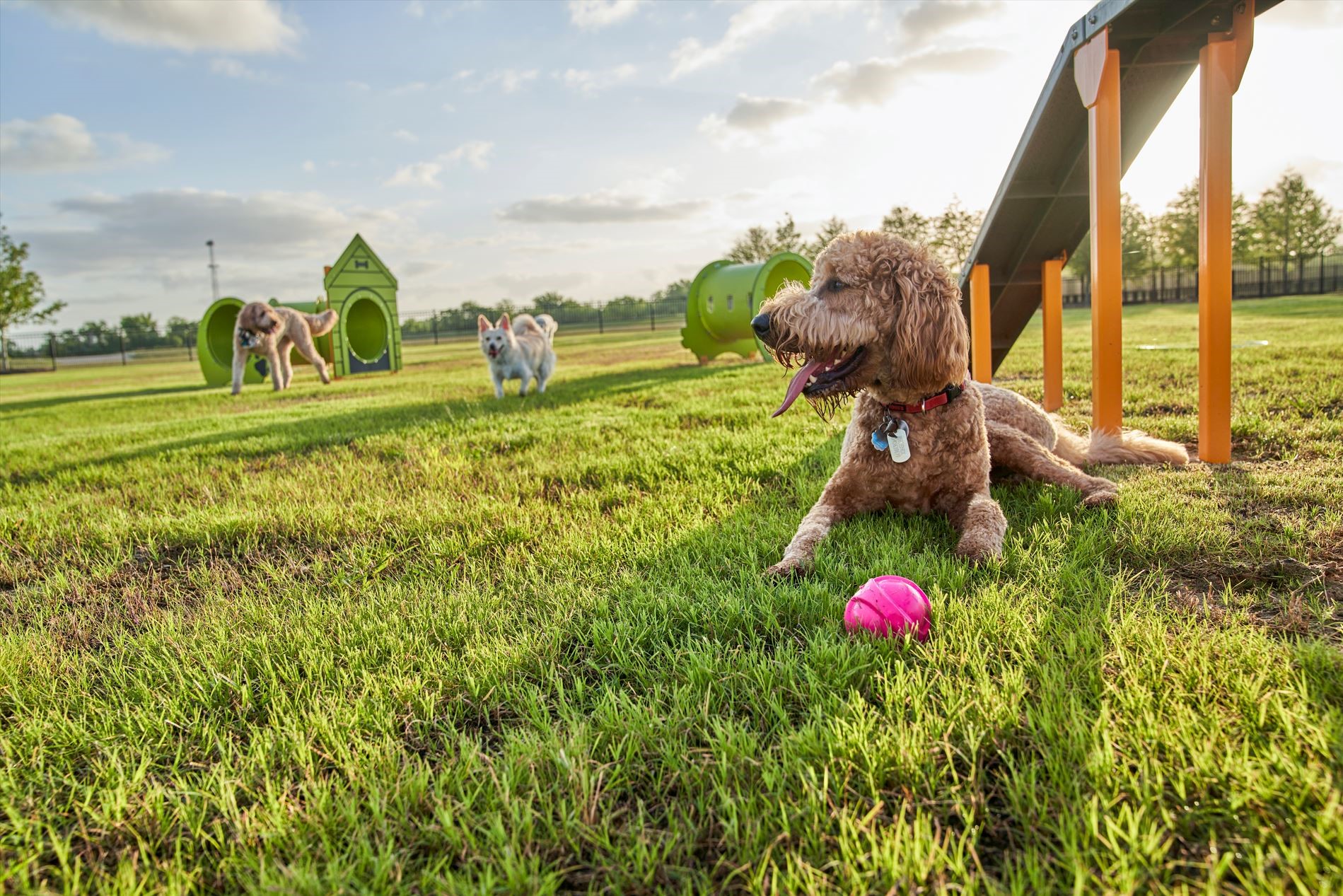 7819 Clover Gully Lane Property Photo 22
