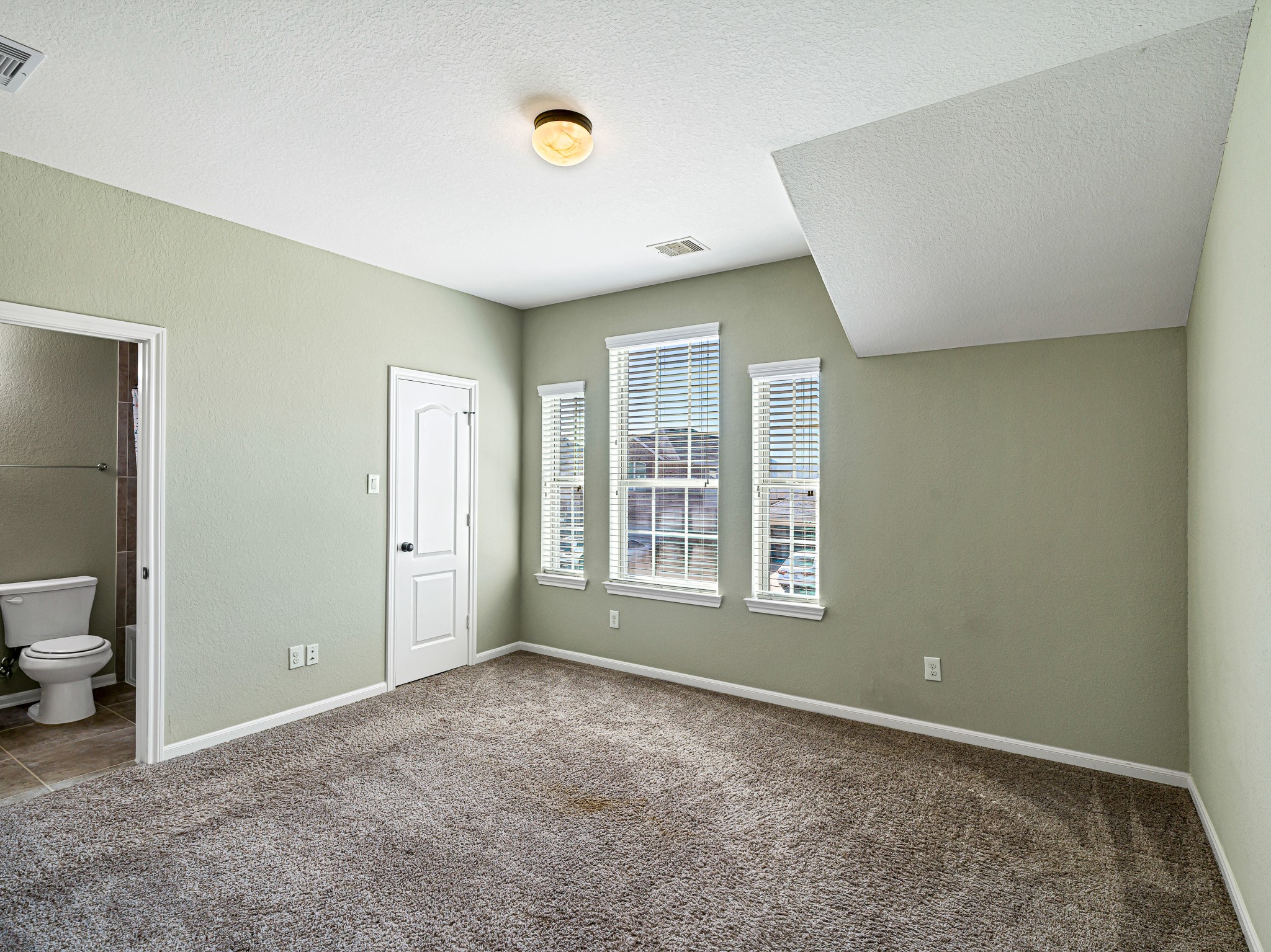 25006 Blue Mountain Park Lane Property Photo 30