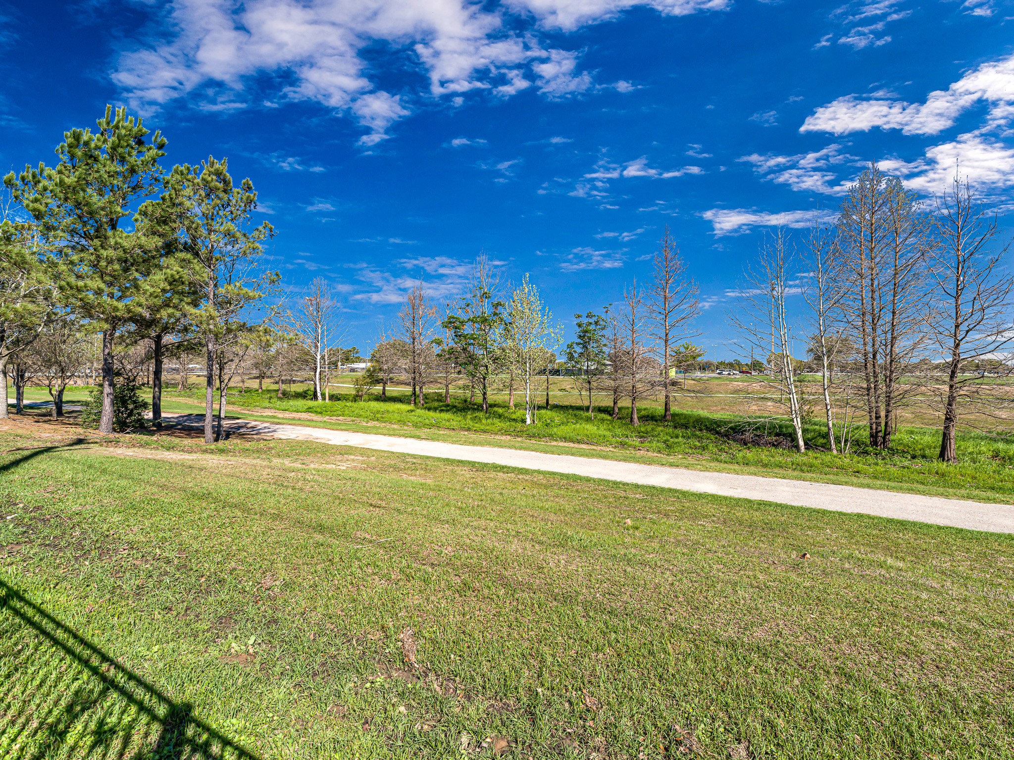 25006 Blue Mountain Park Lane Property Photo 38