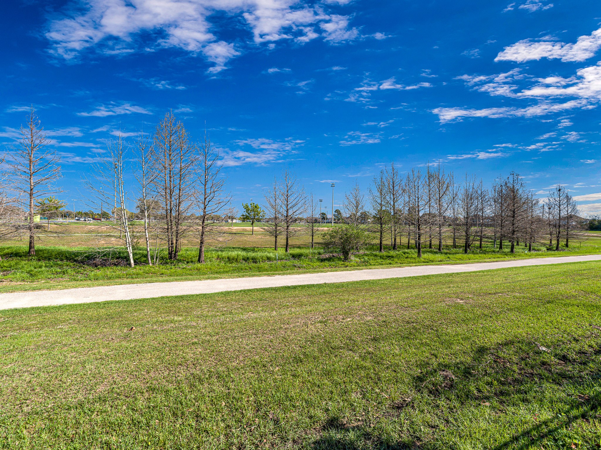 25006 Blue Mountain Park Lane Property Photo 39