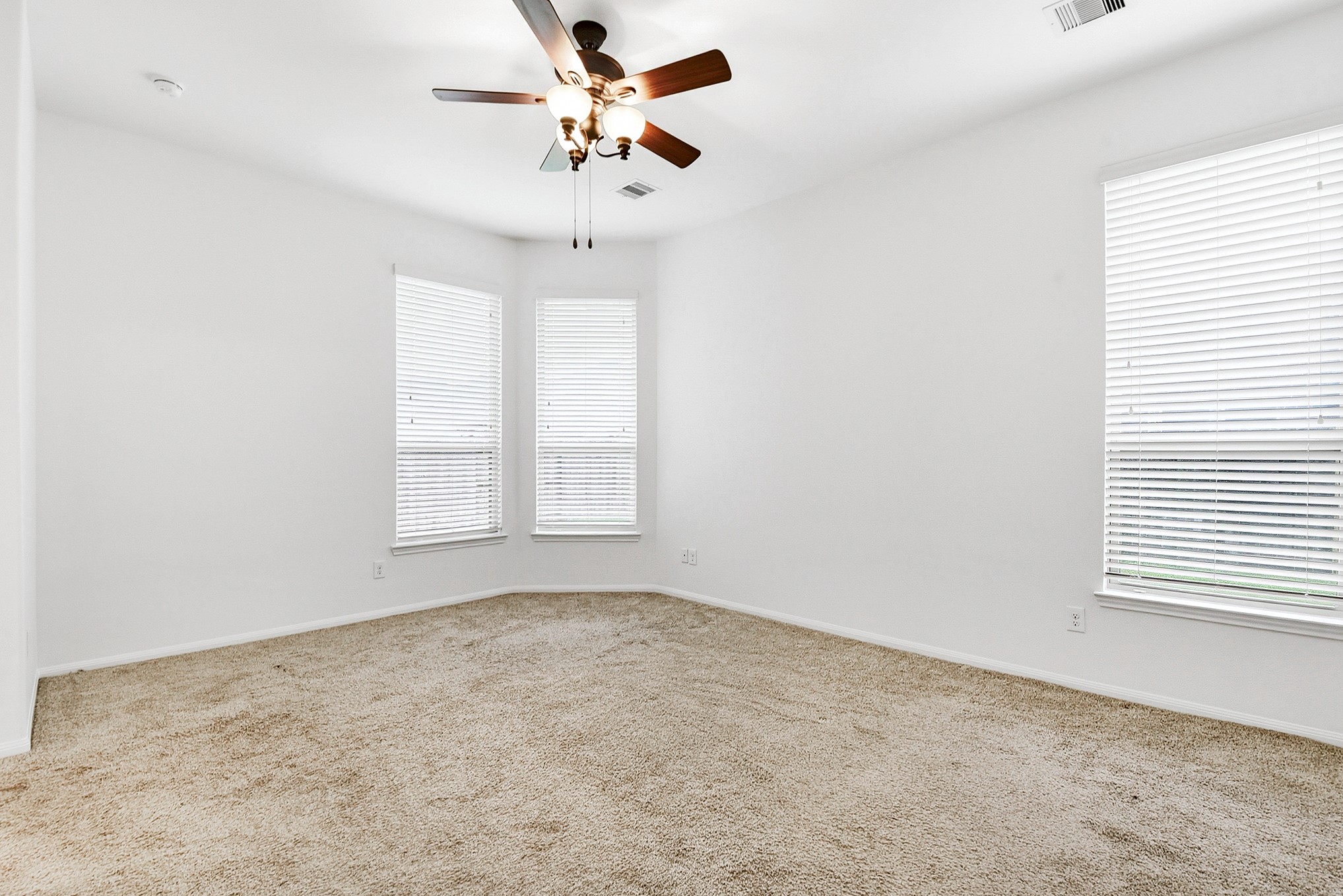 29142 Crested Butte Drive Property Photo 22