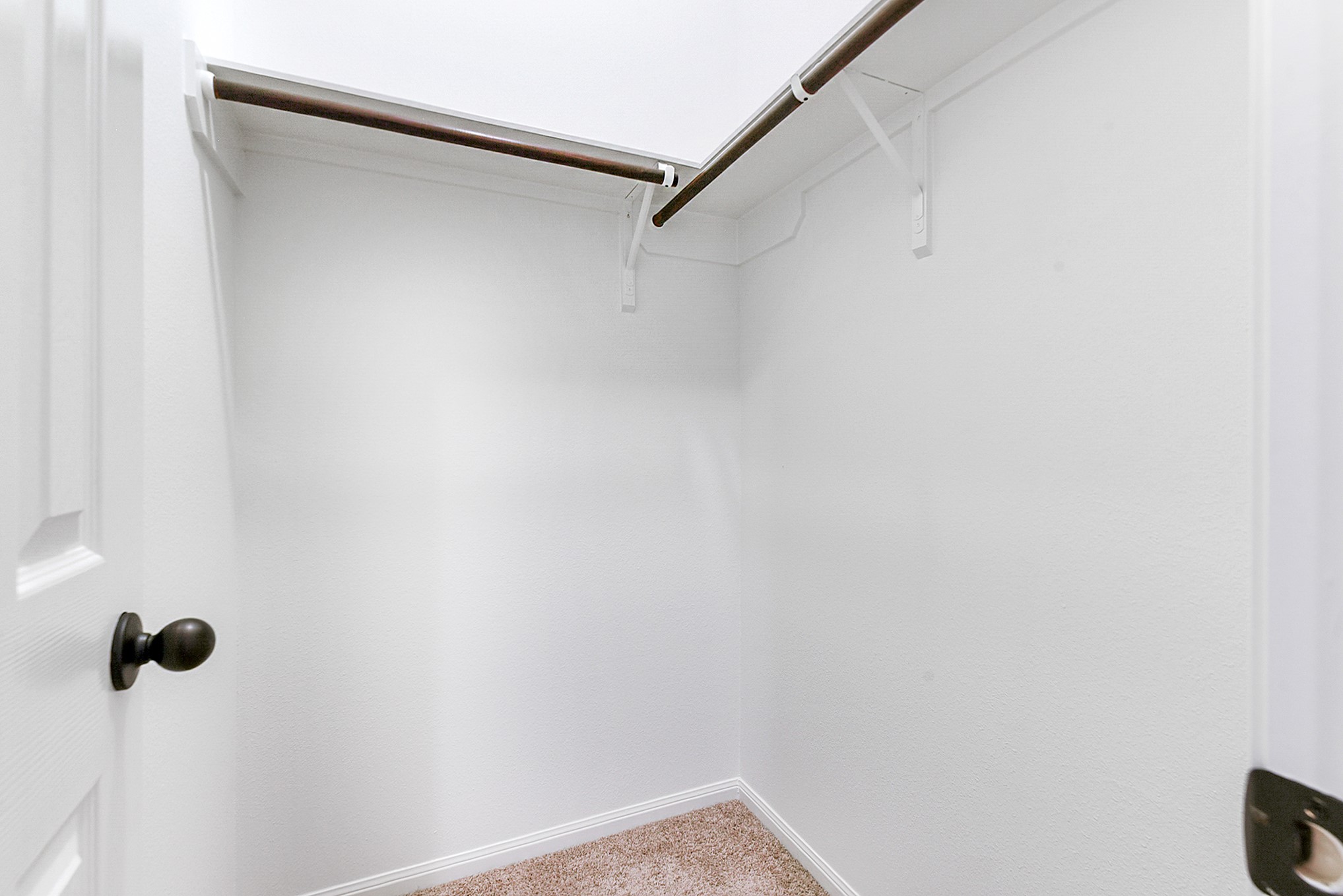 29142 Crested Butte Drive Property Photo 28