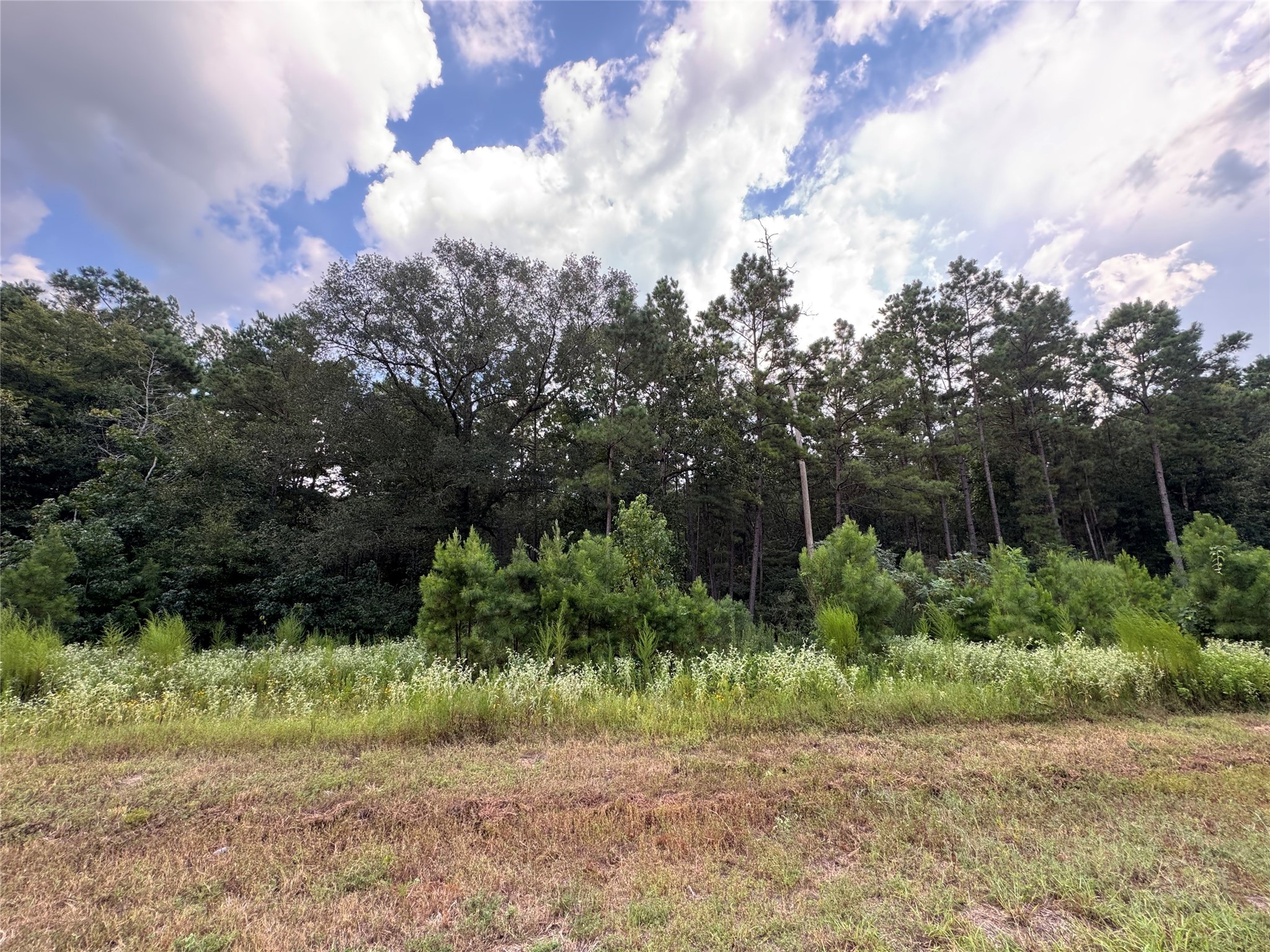 68-23-7 Sky Oak Lane Property Photo 1