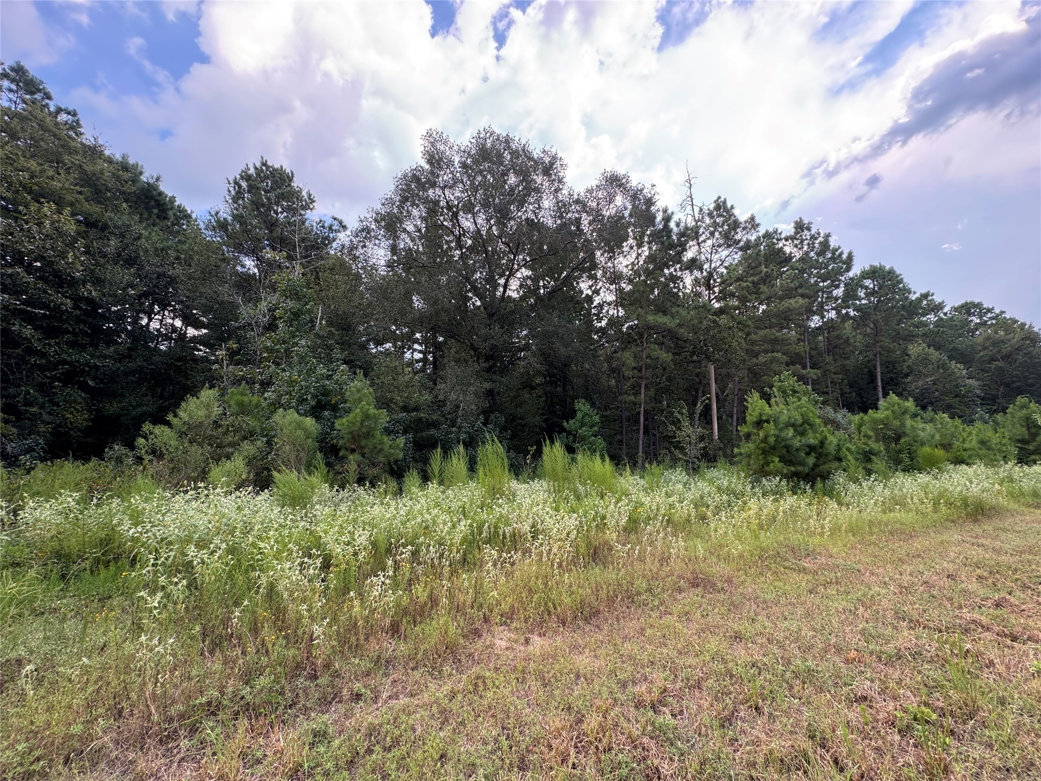 68-23-7 Sky Oak Lane Property Photo 2