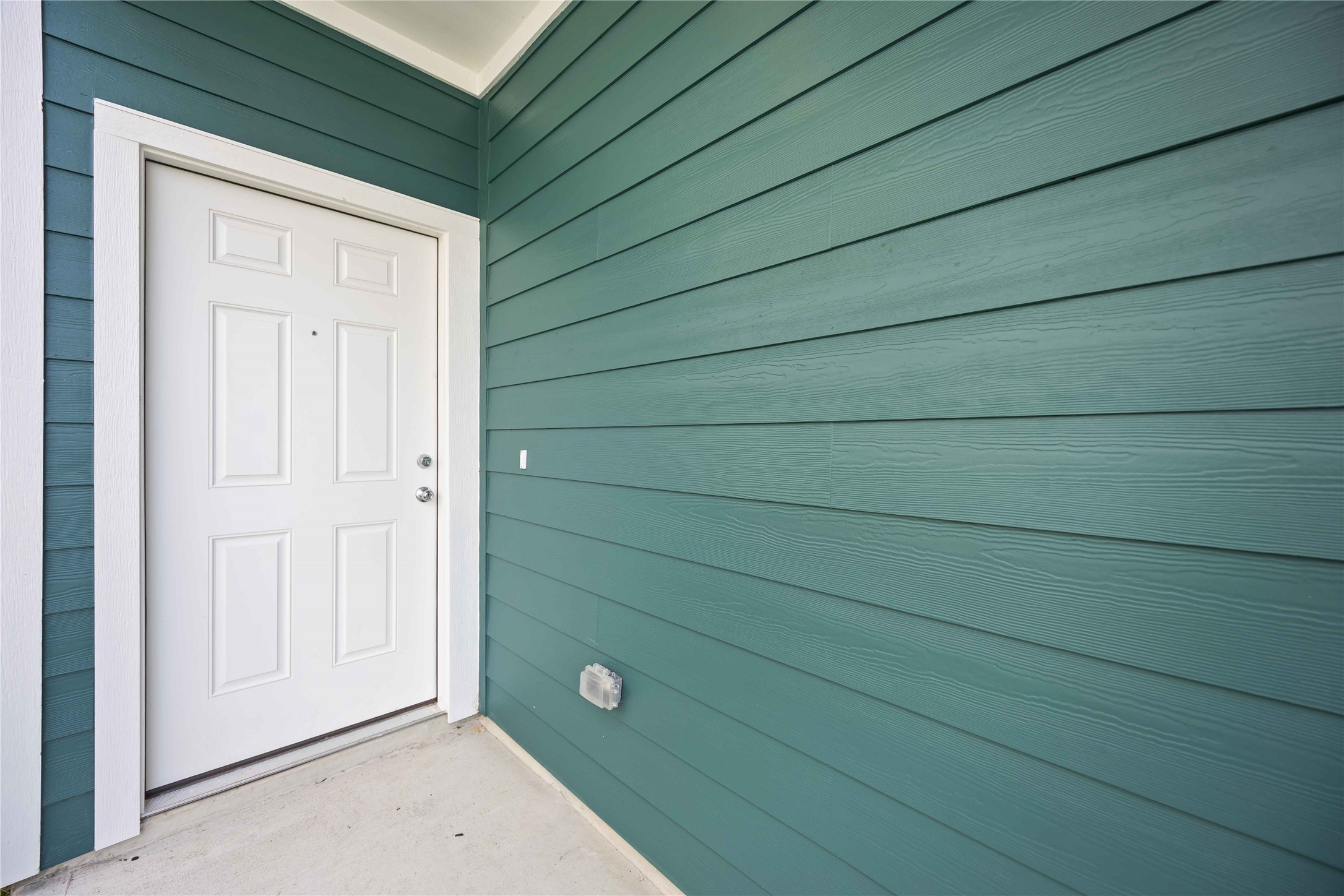 14741 Blooming Jasmine Trail Property Photo 3