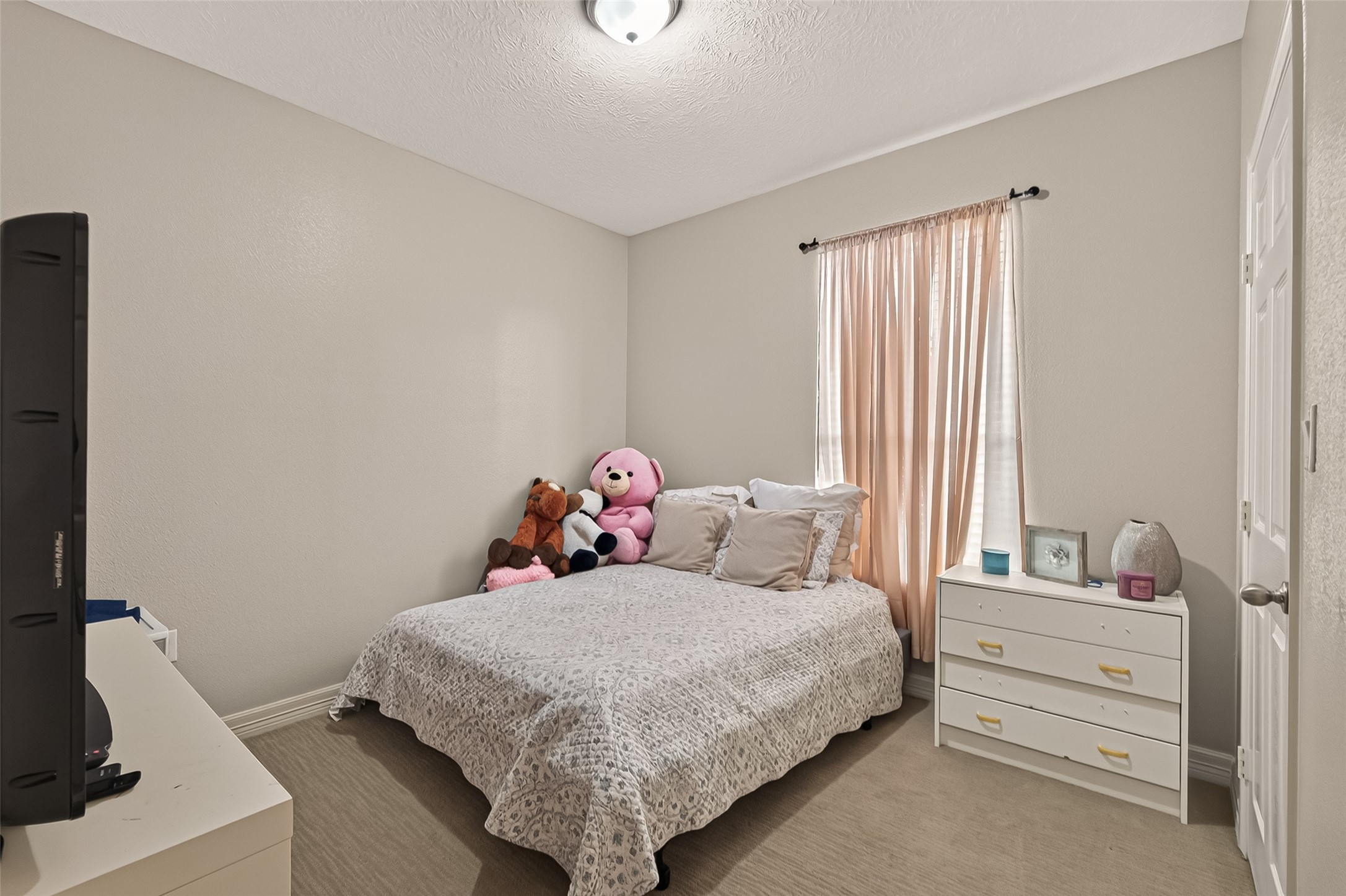 709 Coen Road Property Photo 22