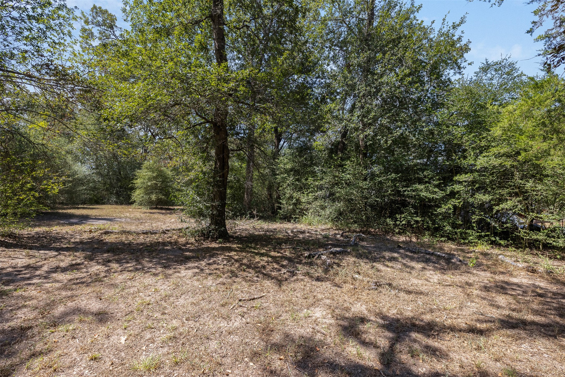 5605 Highway 290 W W Property Photo 7
