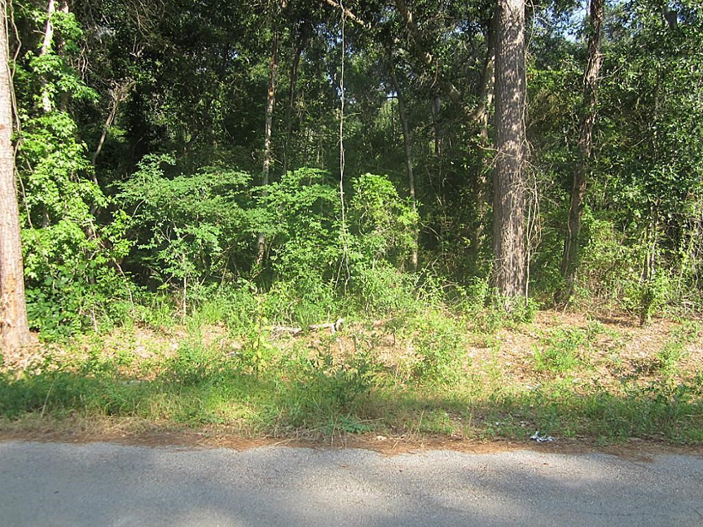 31127 Primrose Lane Property Photo 1