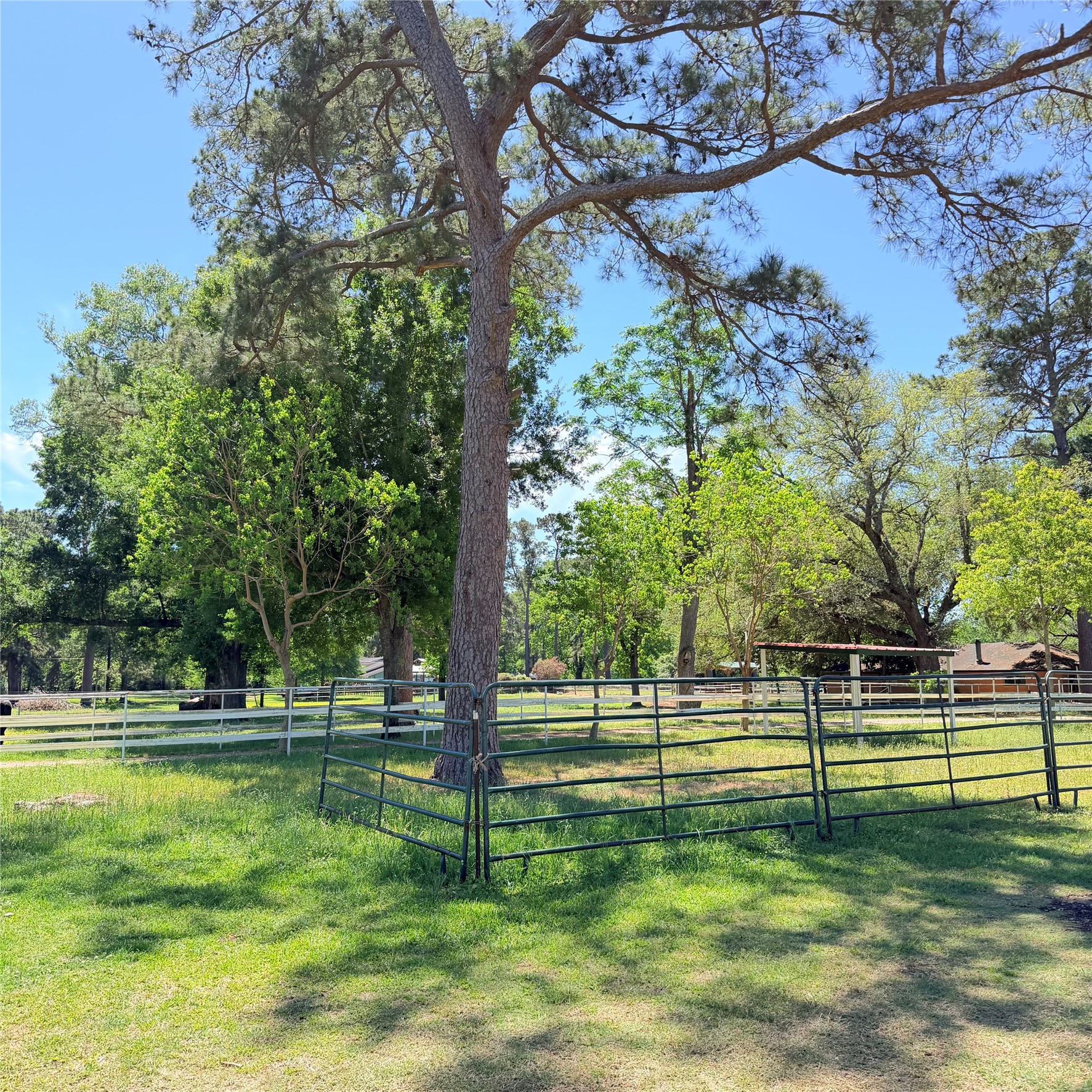 26427 1/2 Dobbin Huffsmith Rd Road Property Photo 2