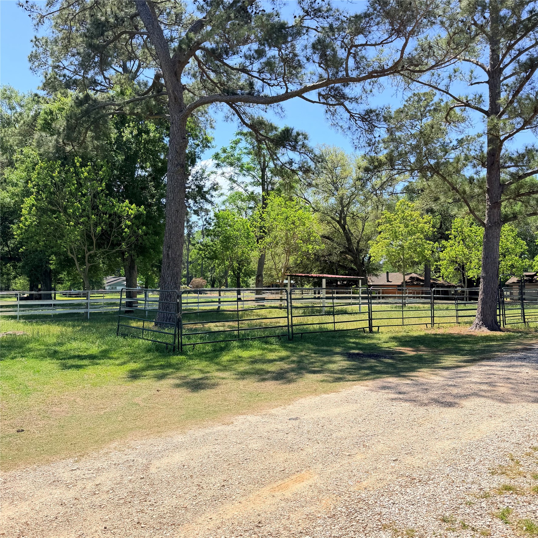 26427 1/2 Dobbin Huffsmith Rd Road Property Photo 23