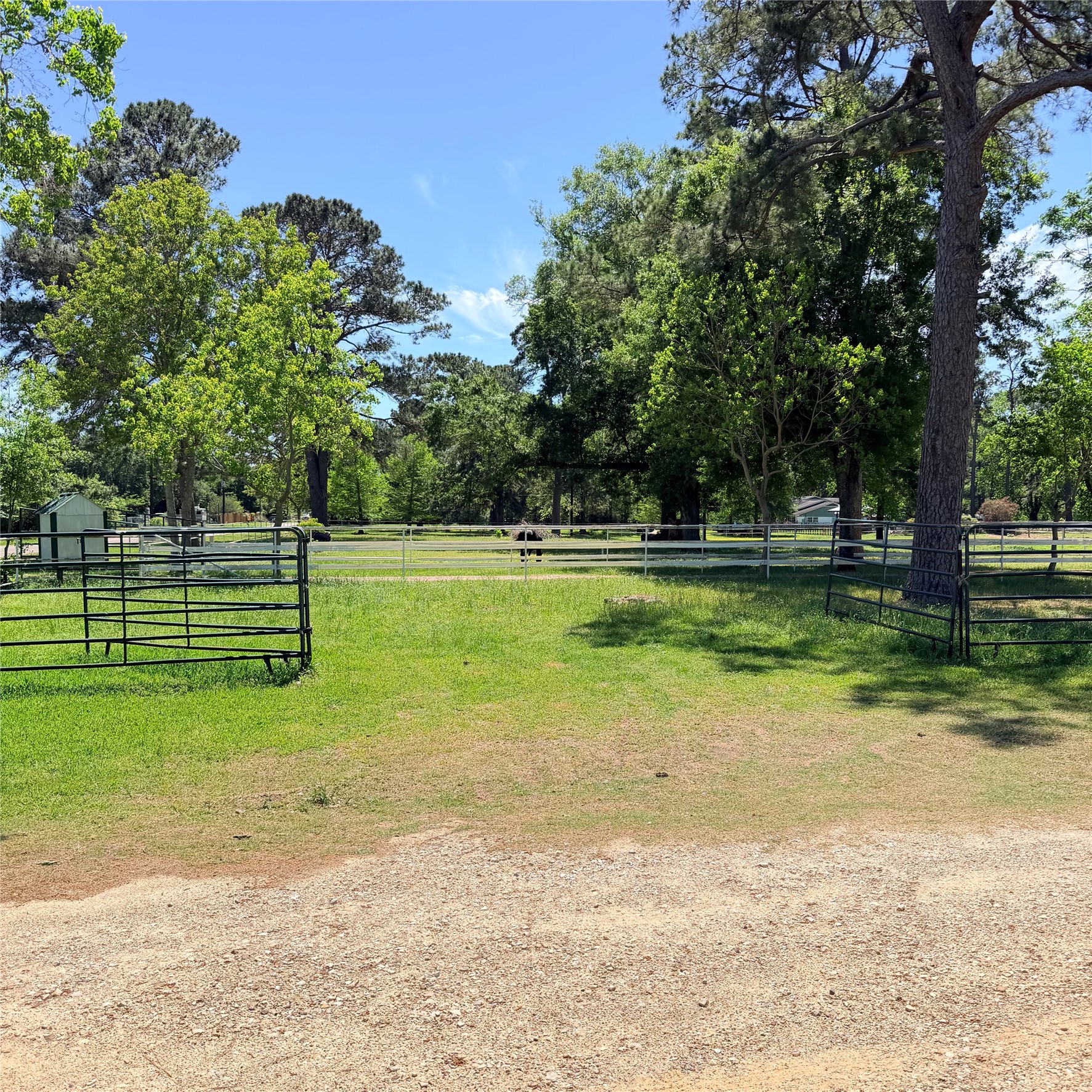 26427 1/2 Dobbin Huffsmith Rd Road Property Photo 24