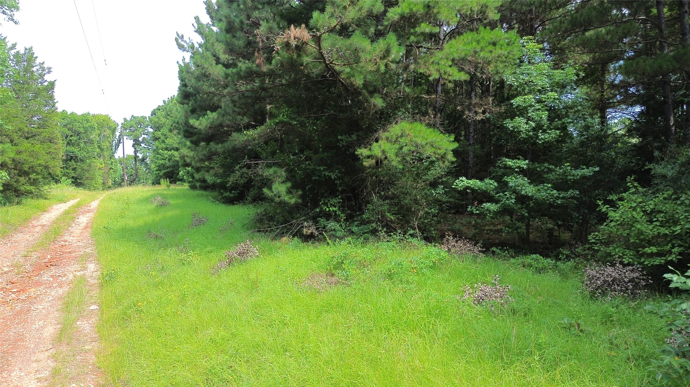 462 Cr 1655 Property Photo 9