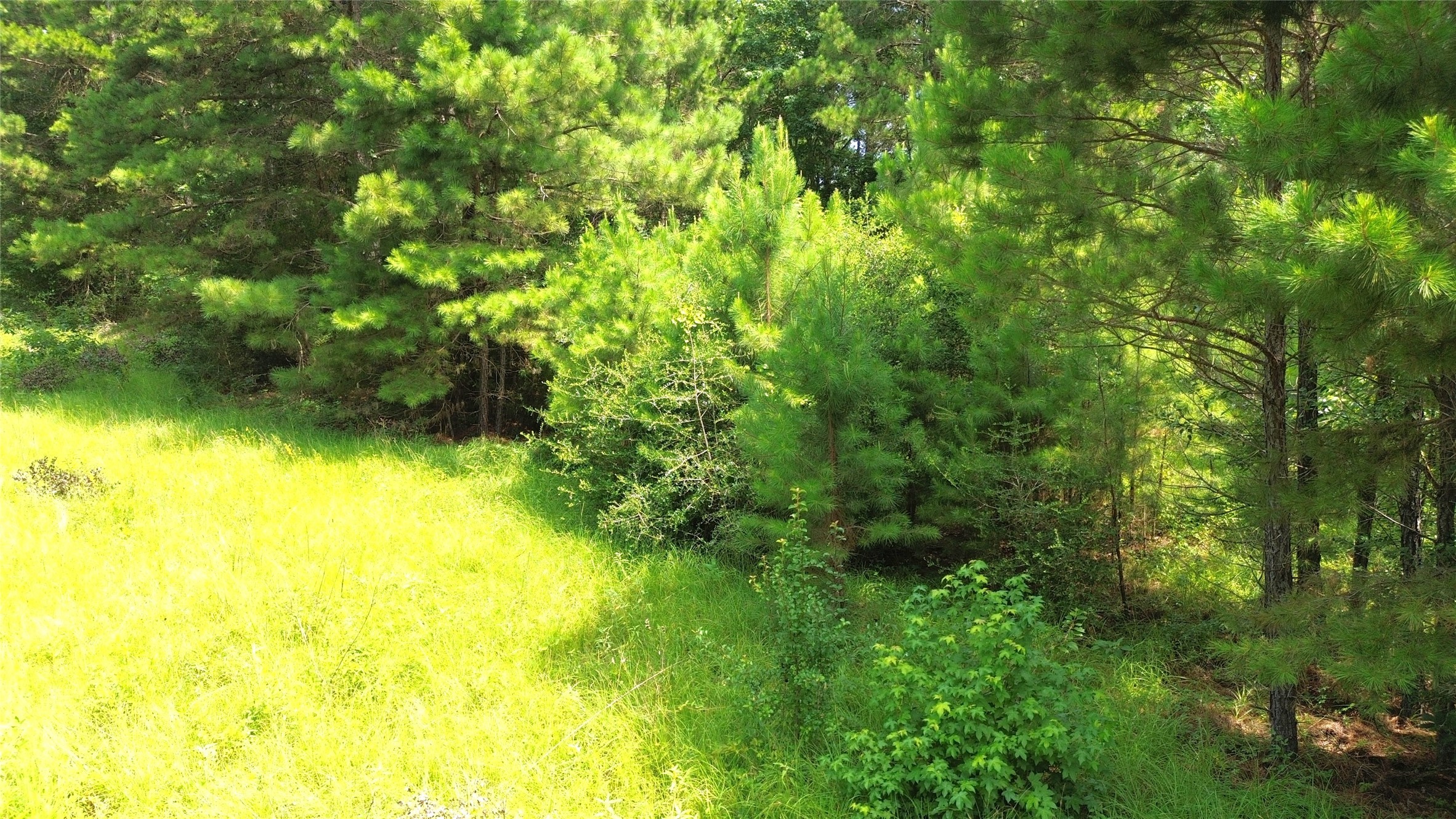 462 Cr 1655 Property Photo 11