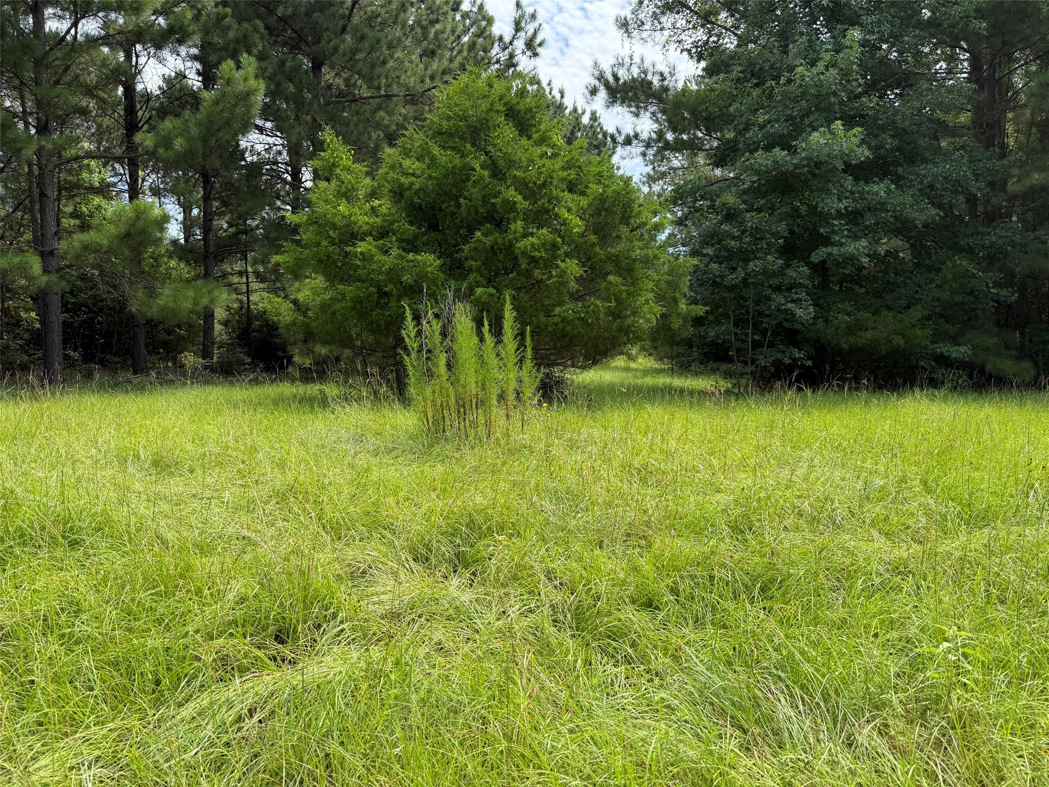 462 Cr 1655 Property Photo 13